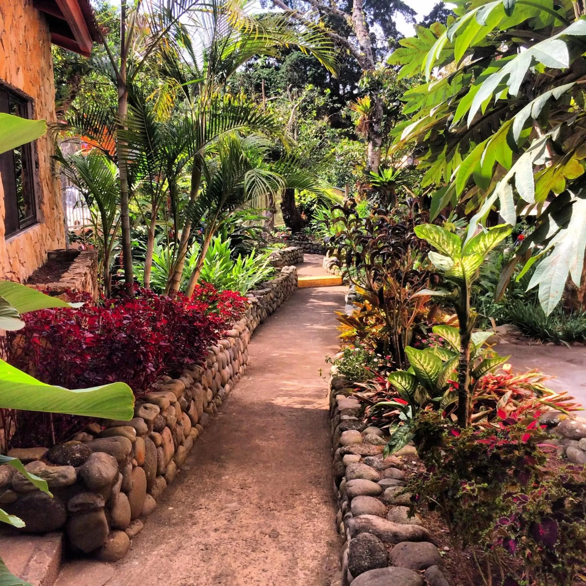 Garden in The Inn at Palo Alto
