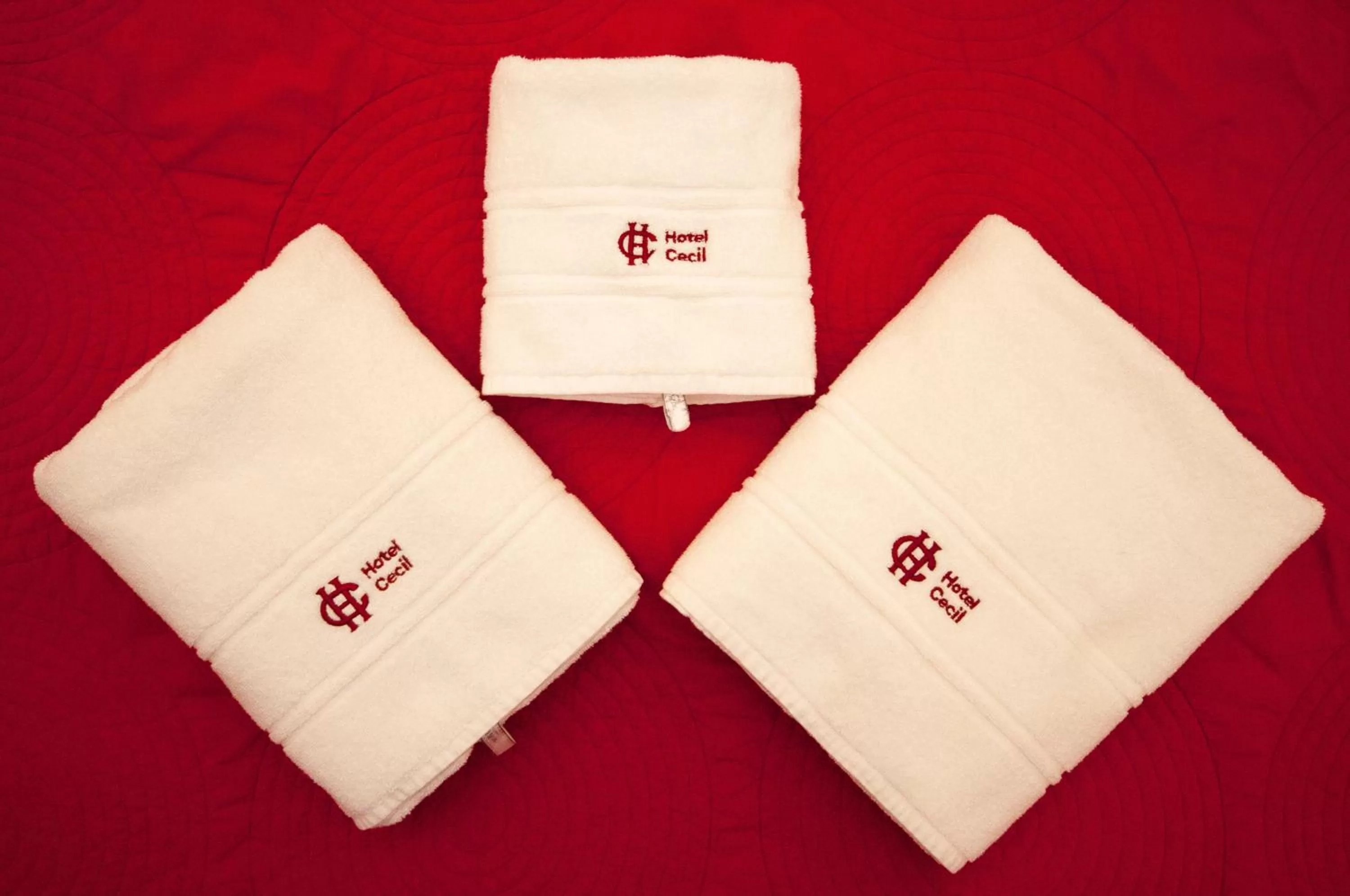 Property logo or sign in Cecil Hotel