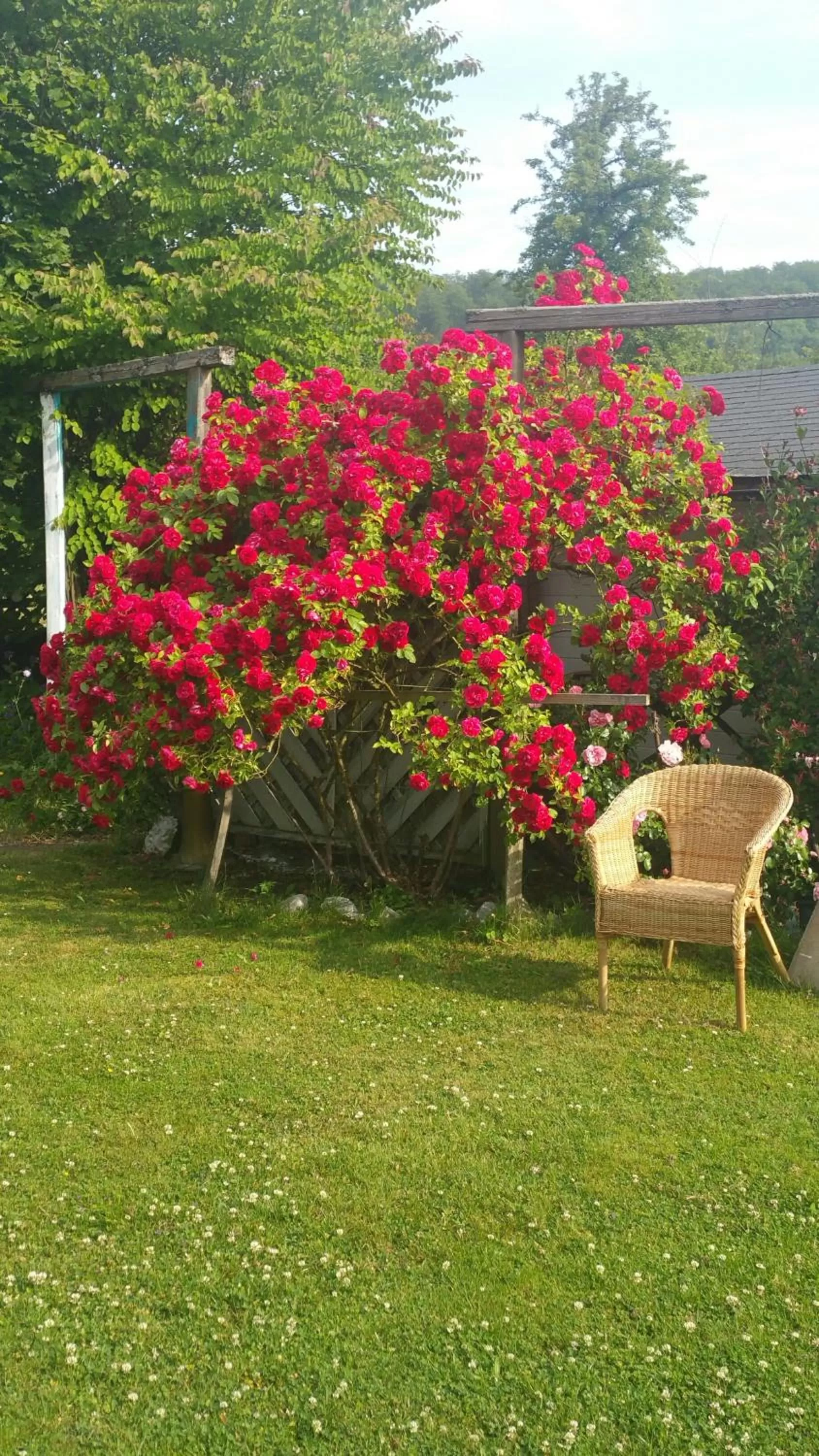 Area and facilities in Villa Jani b&b