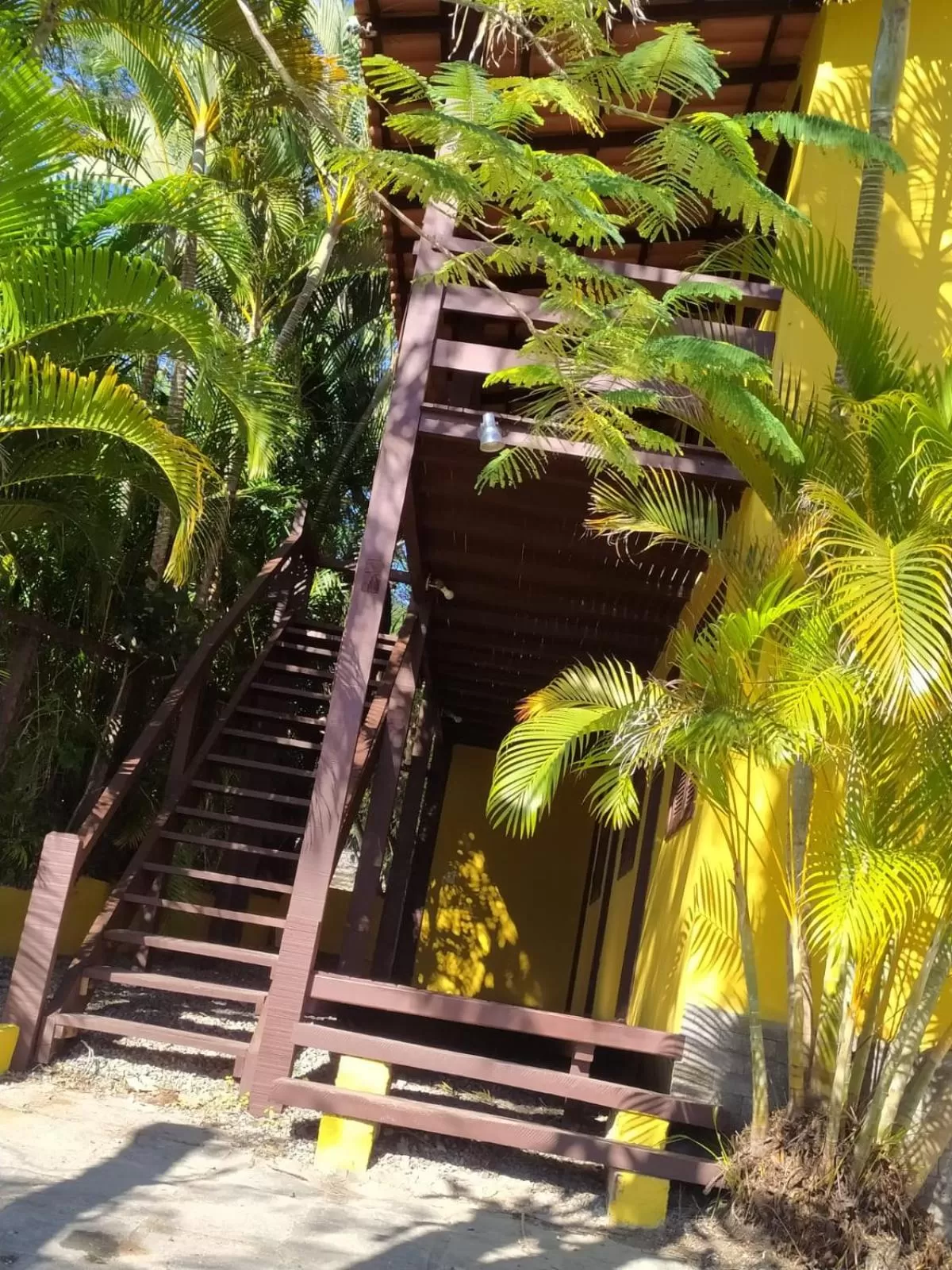 Garden in Hibiscos Pousada