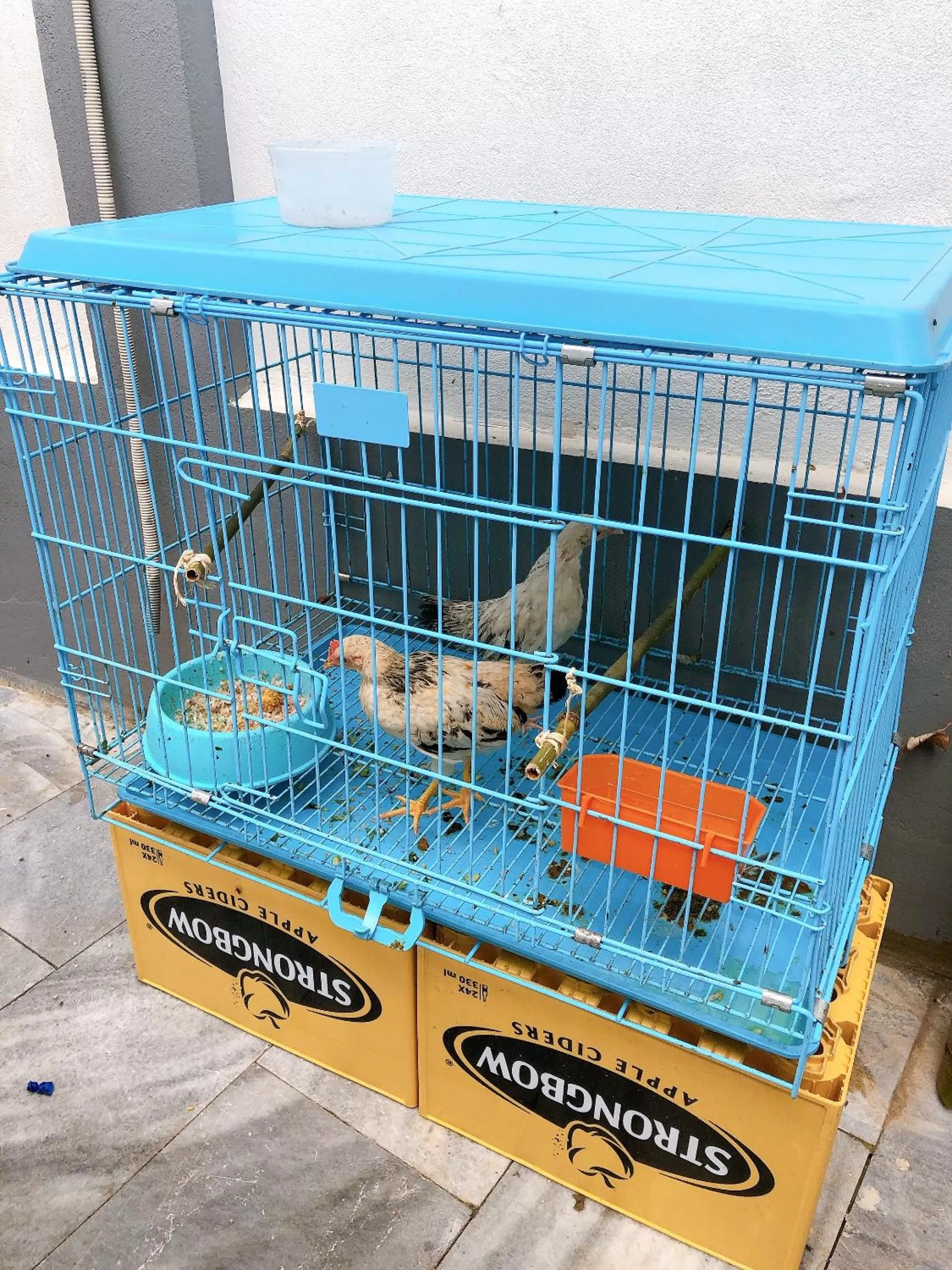 Peaceful House Hostel