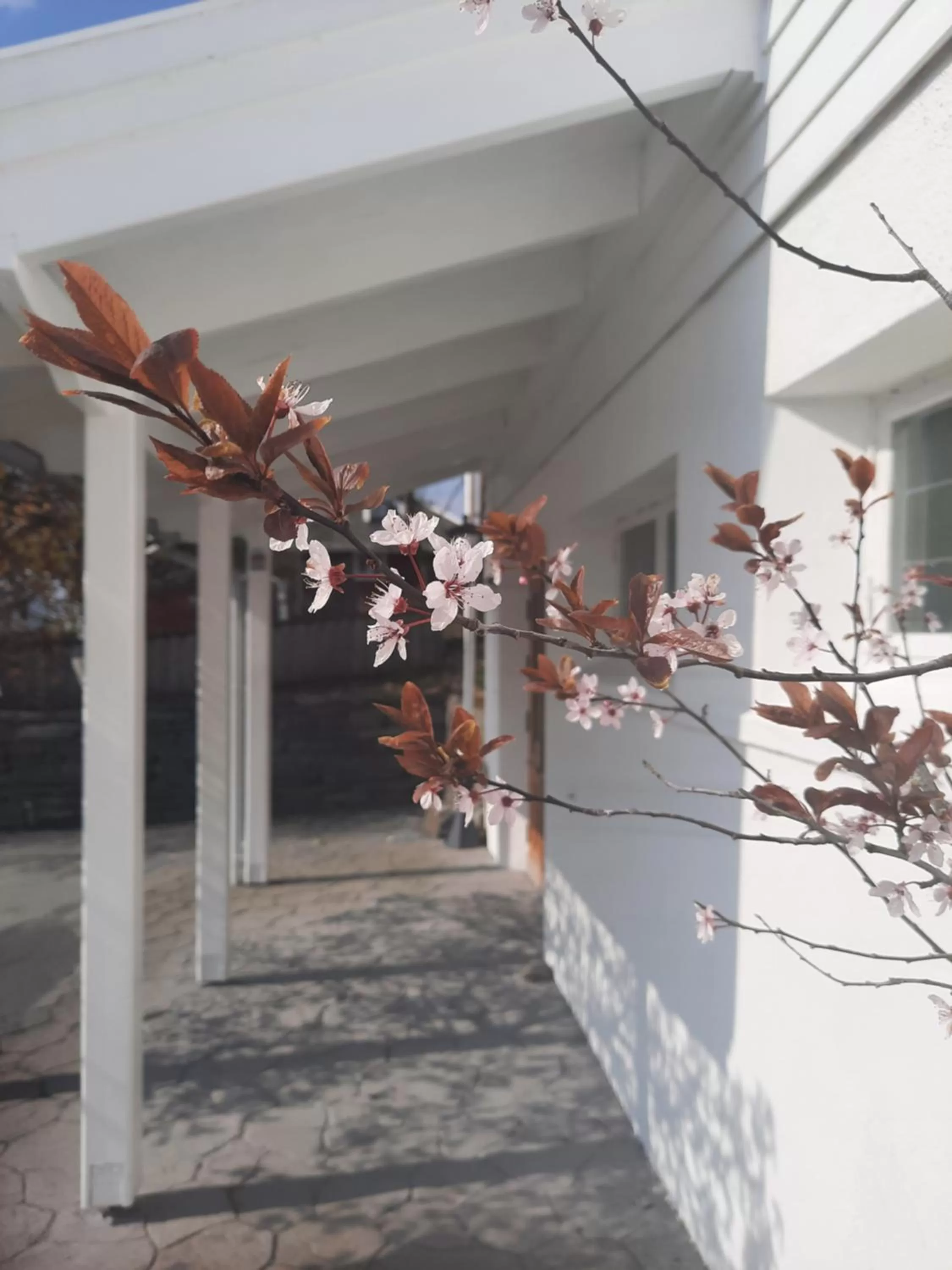 Property building in Lilland Brewery Hotel