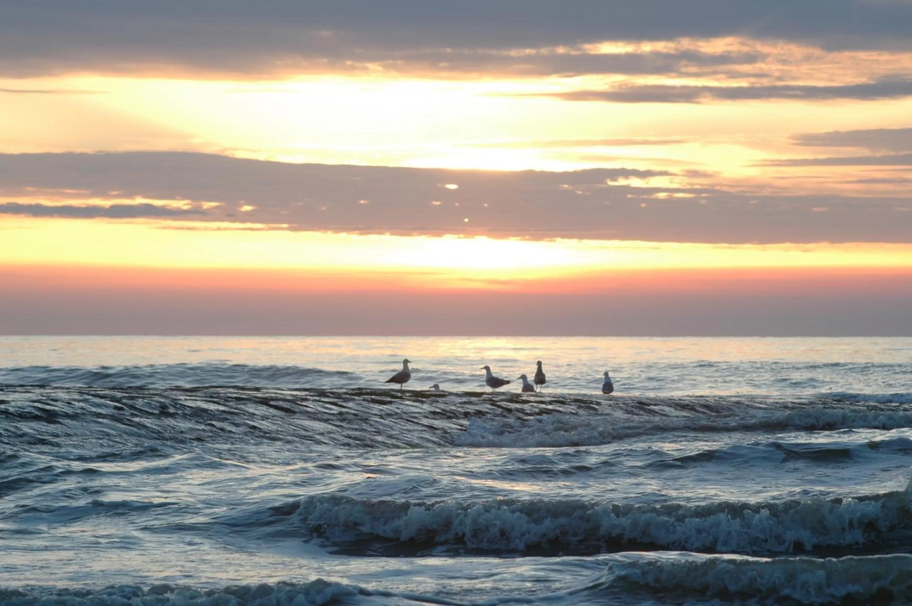Area and facilities in Hotel De Golf