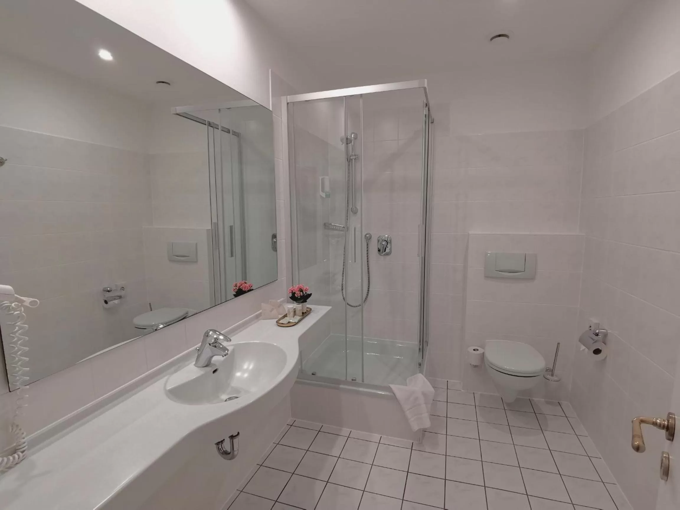 Bathroom in Hotel Erbprinzenpalais