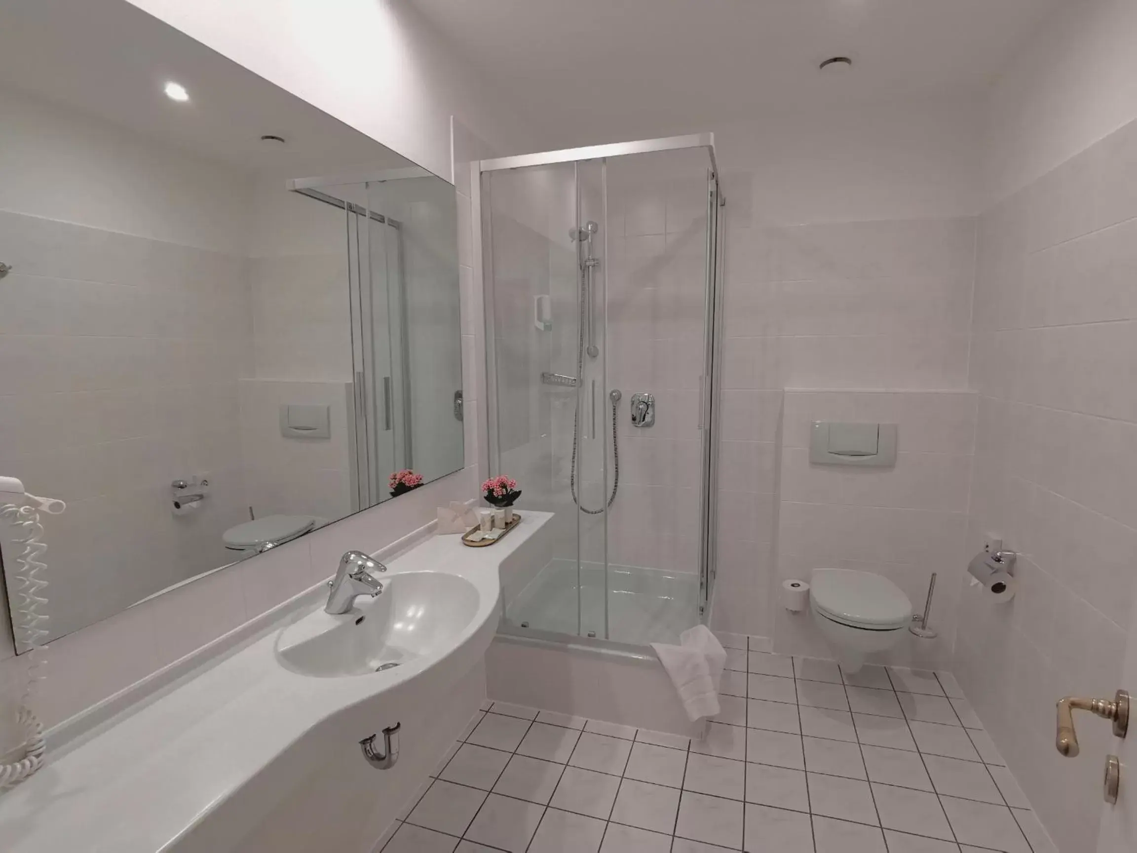 Deluxe Single Room + Child in Hotel Erbprinzenpalais Deluxe Single Room + Child in Hotel Erbprinzenpalais