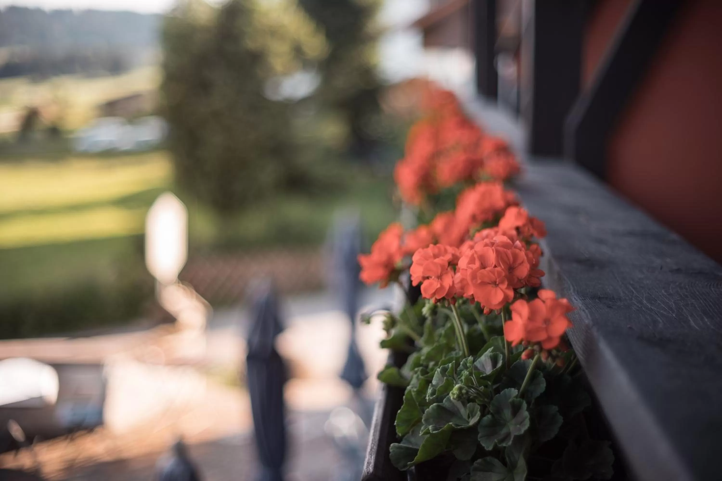Balcony/Terrace in Mittelburg Wellnesshotel