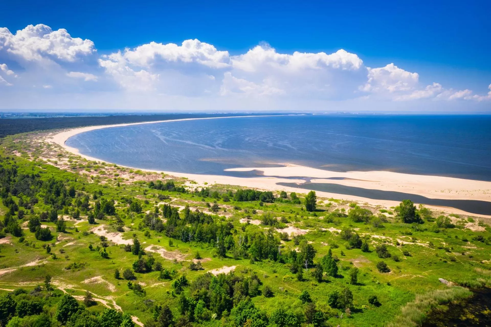 Natural landscape in Hotel Bartan Gdansk Seaside
