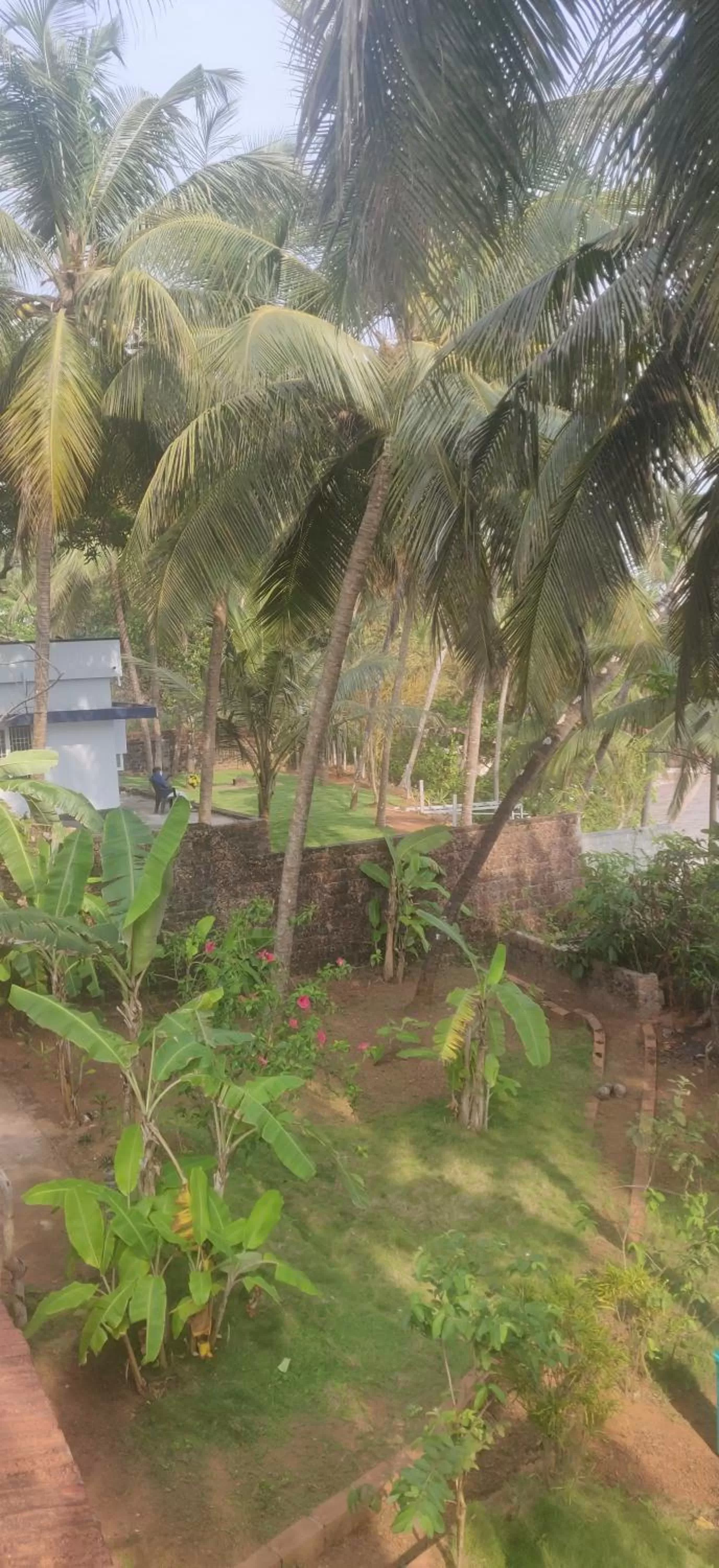 Pool View in Perch by the sea