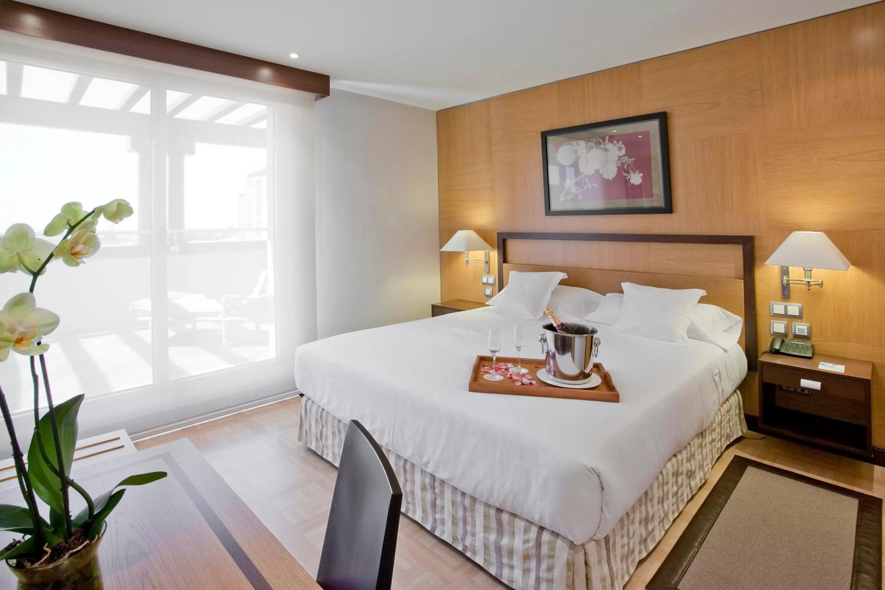 Junior Suite in VP Jardín Metropolitano