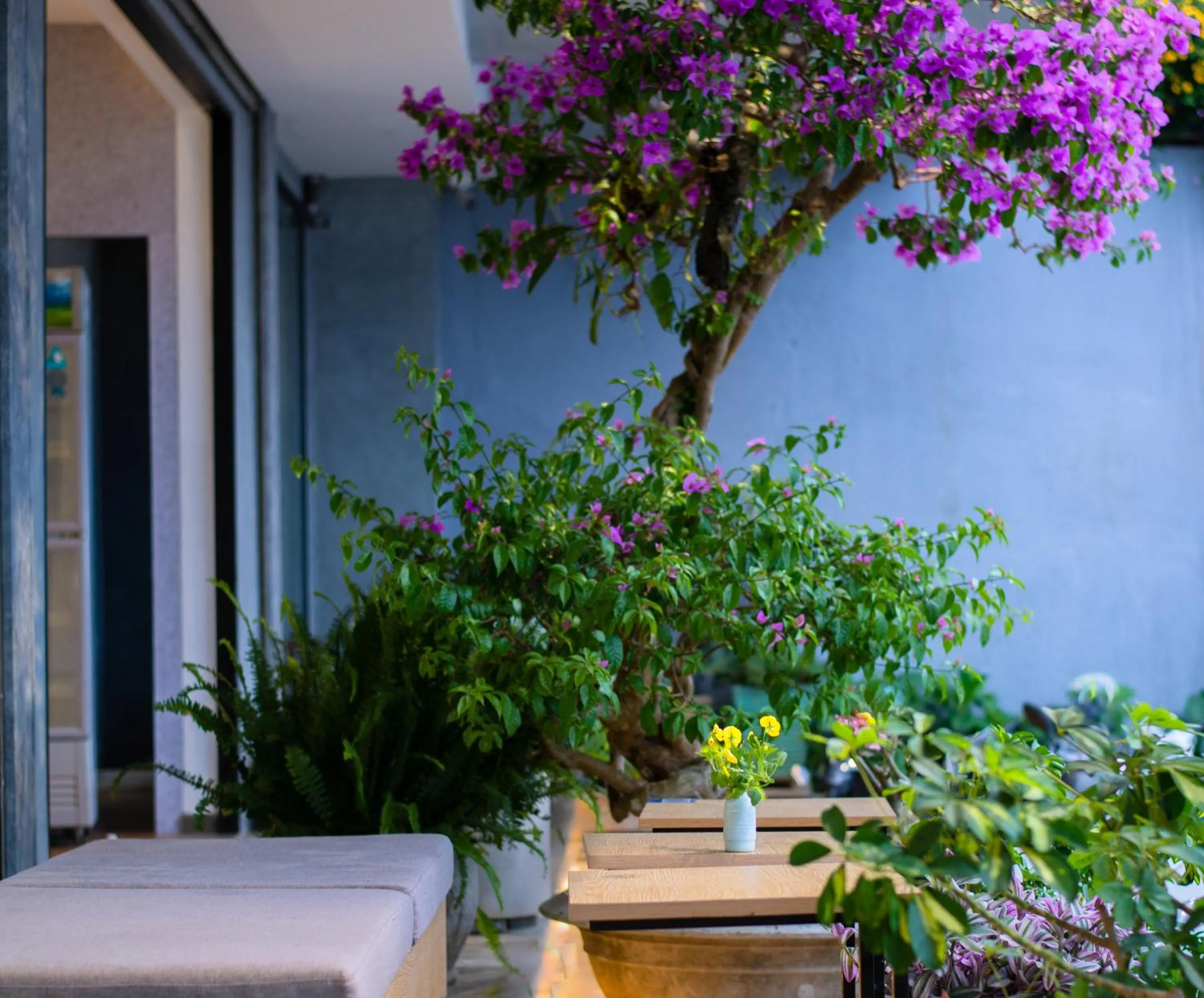 Restaurant/places to eat in Tasme Hotel