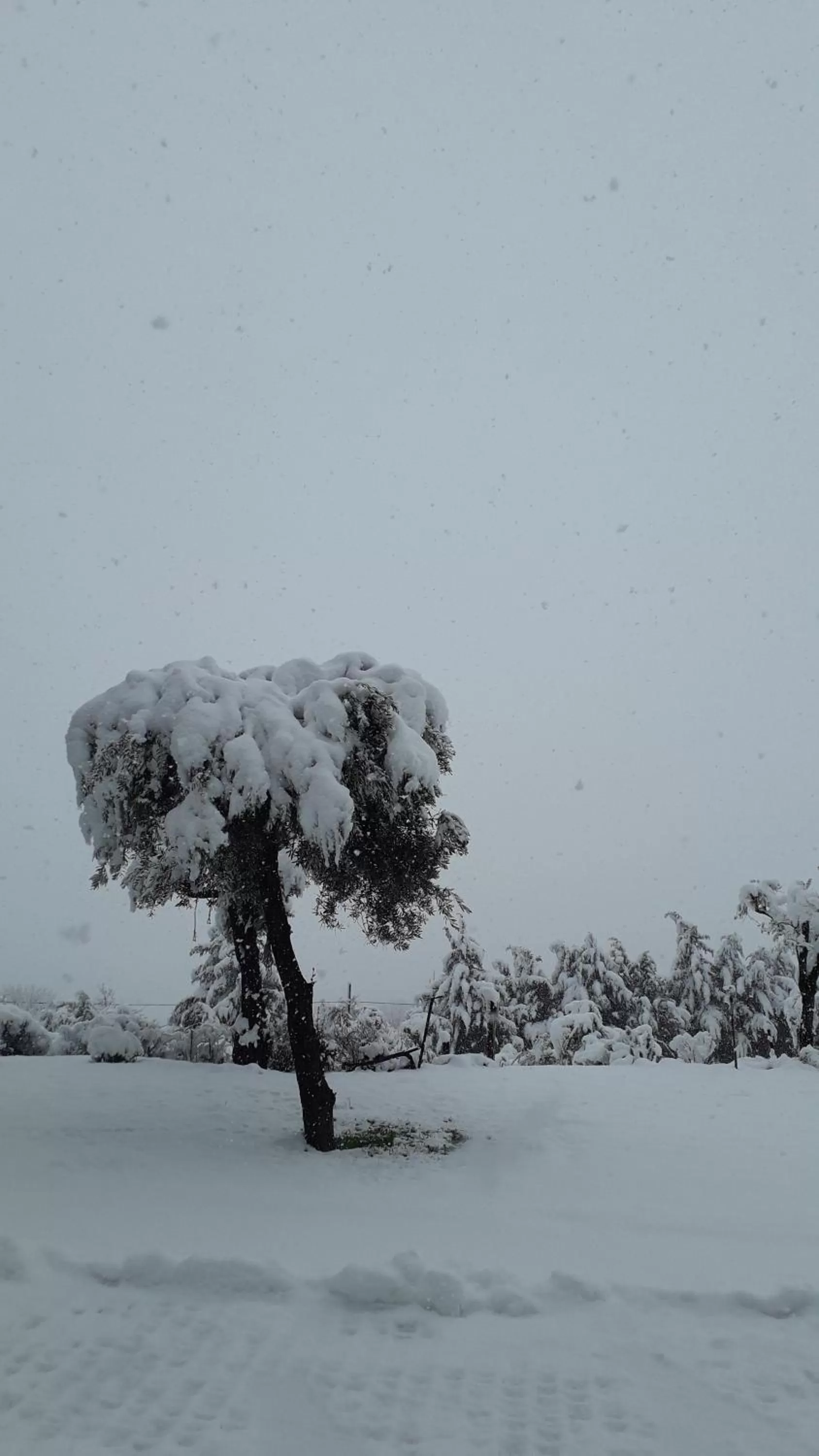 Masseria boutique b&b