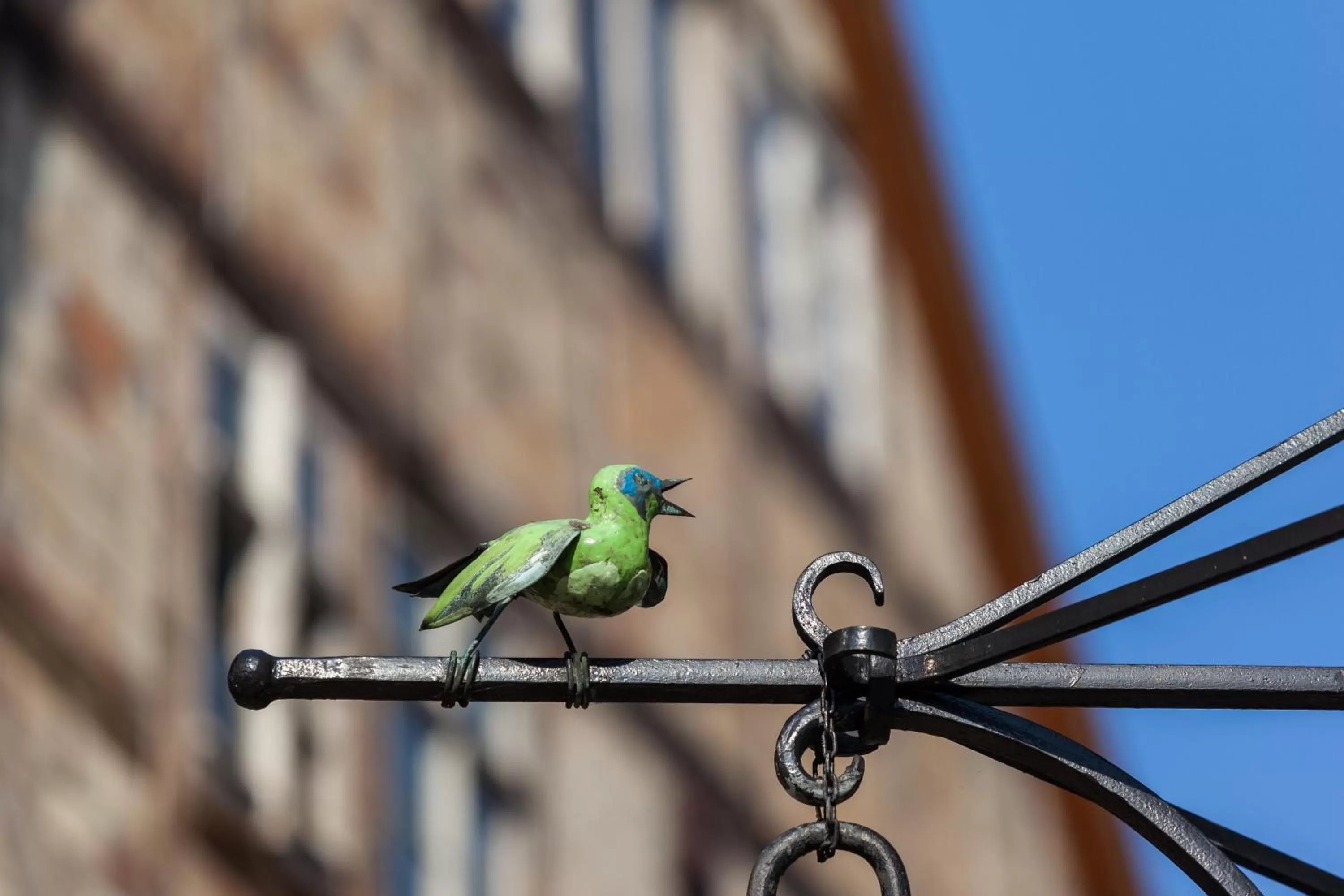 Neighbourhood in REGIOHOTEL Quedlinburger Hof Quedlinburg
