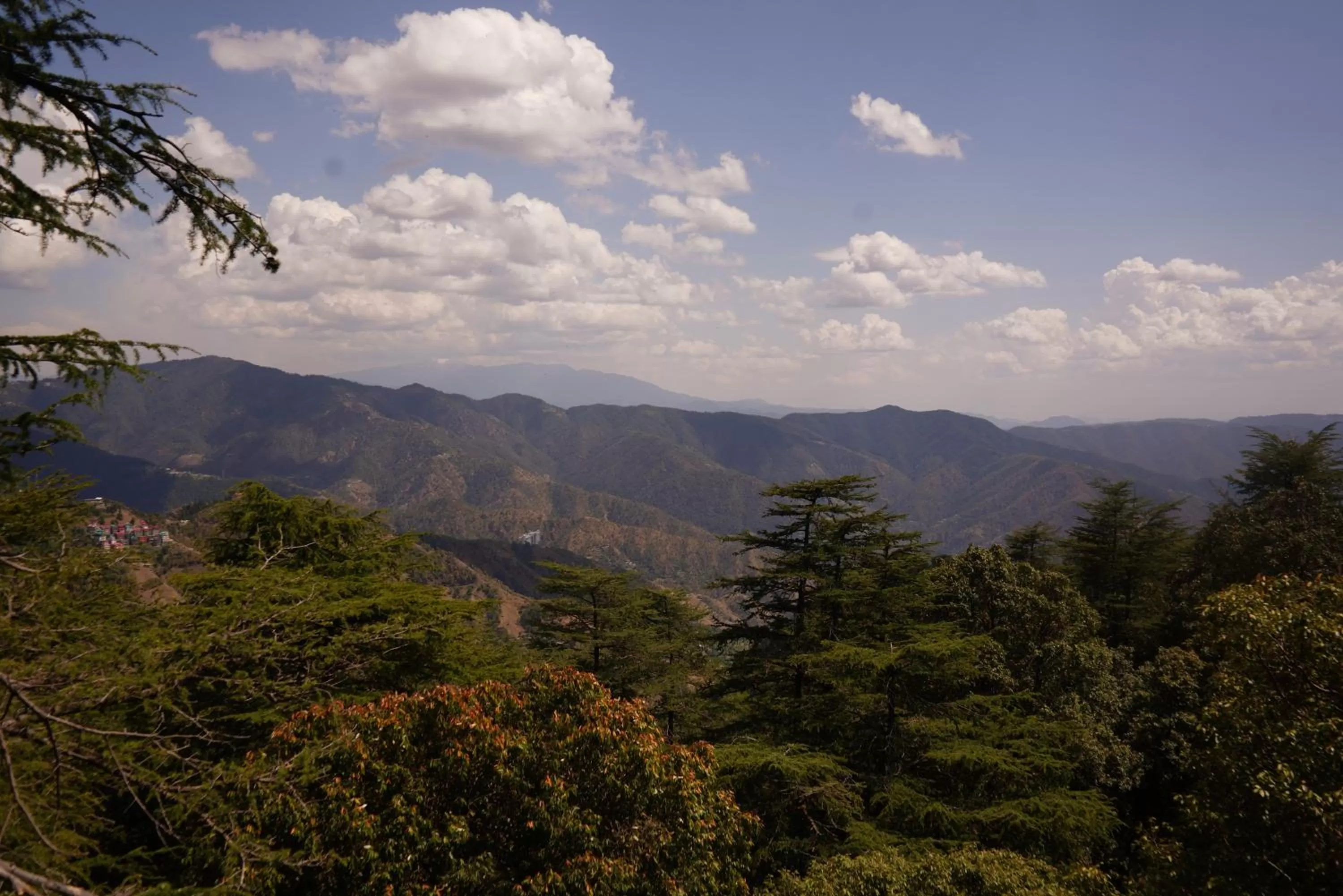 View (from property/room), Mountain View in Jakhu Vibes