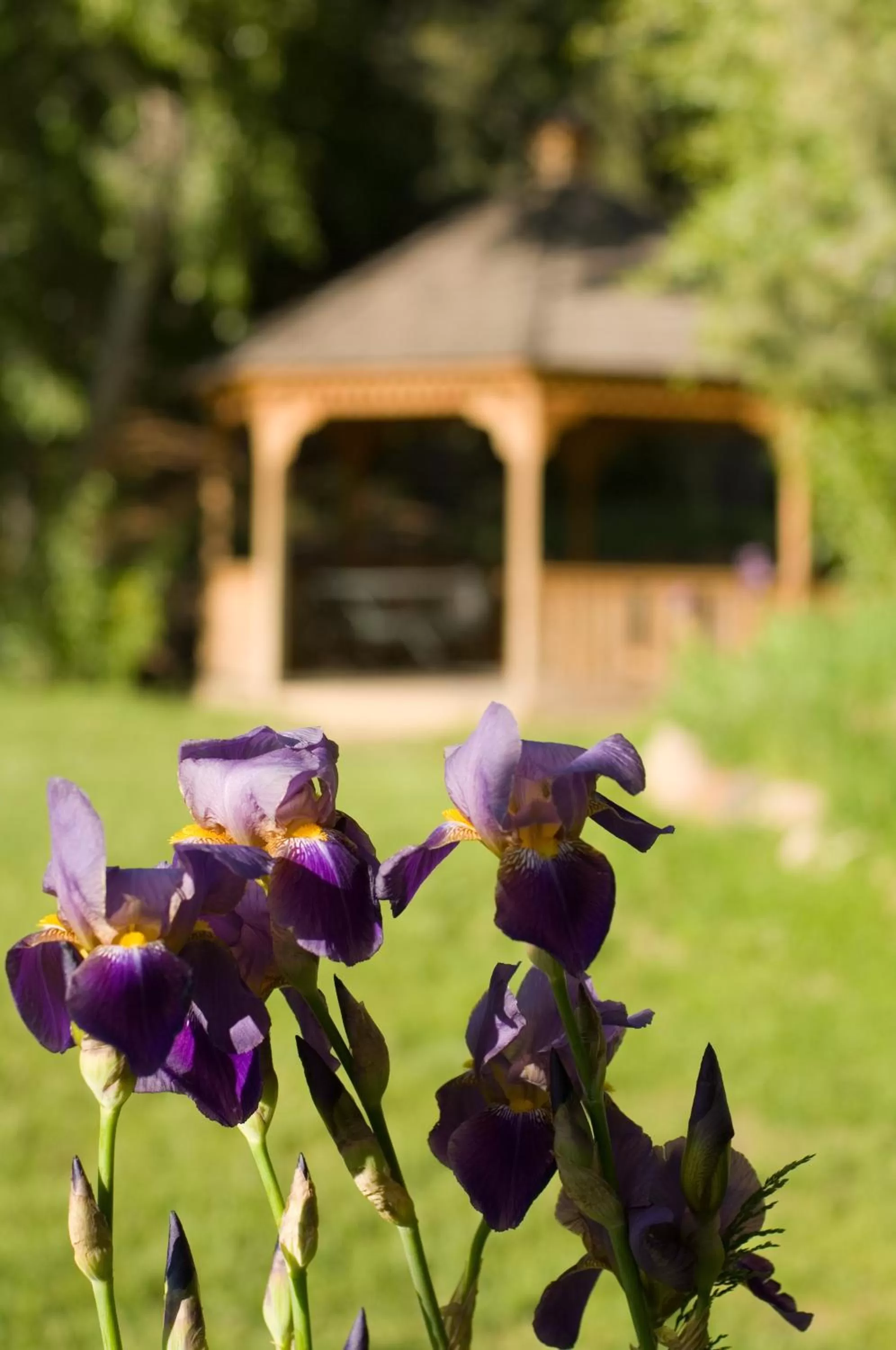 Decorative detail in Fort Marcy Suites by All Seasons Resort Lodging