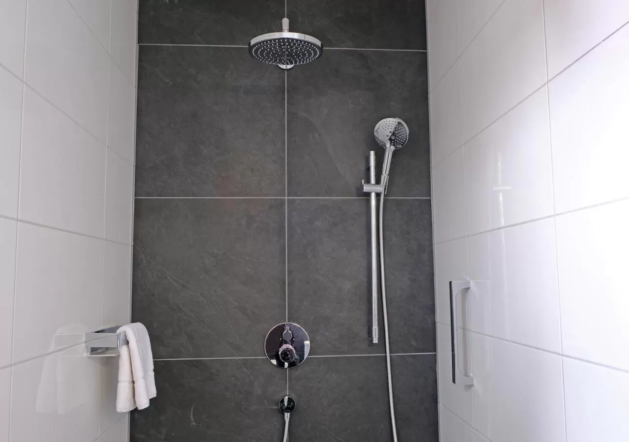 Shower in Hotel Bayerischer Hof