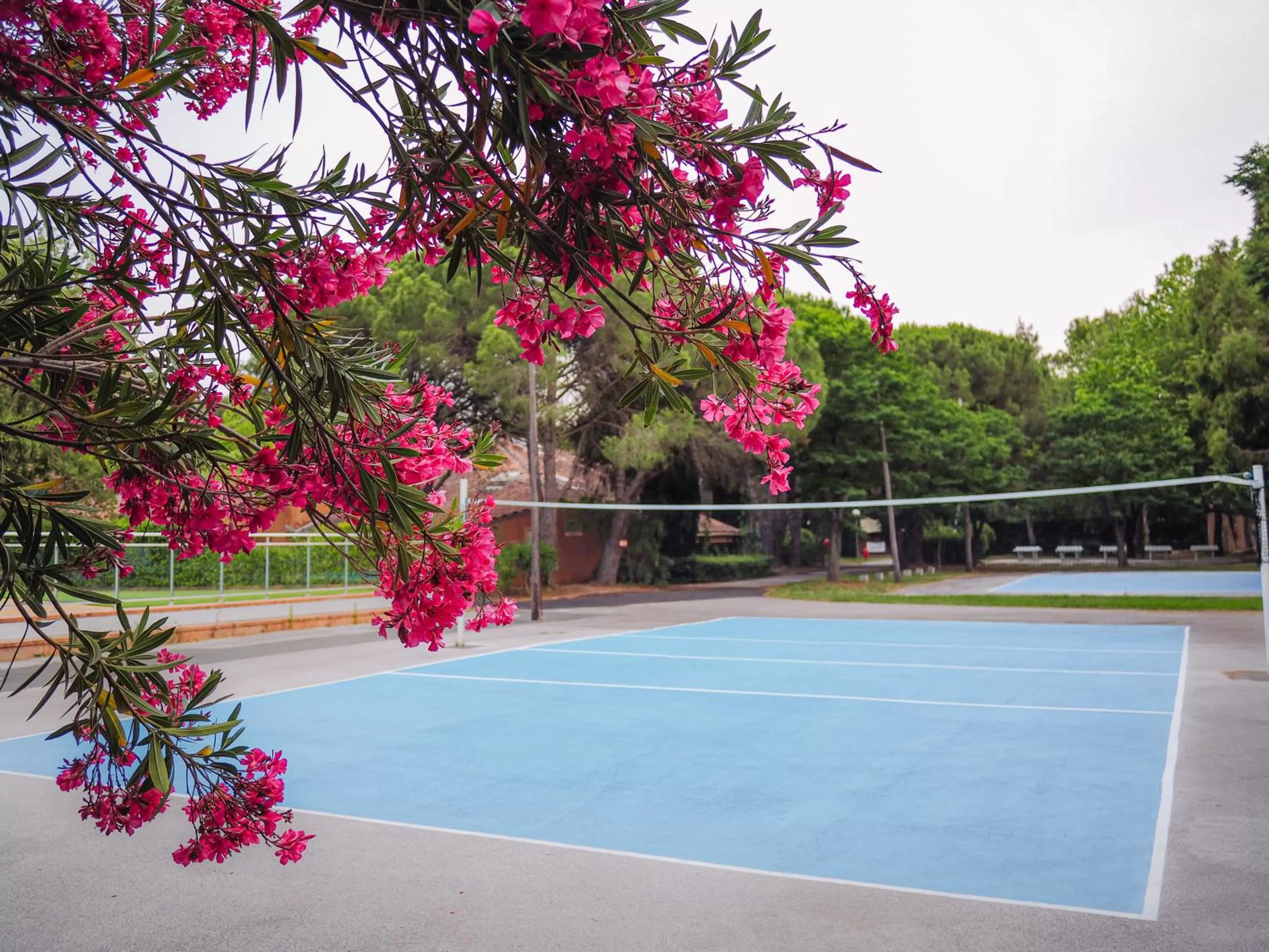 Activities in Marina Hôtel Club