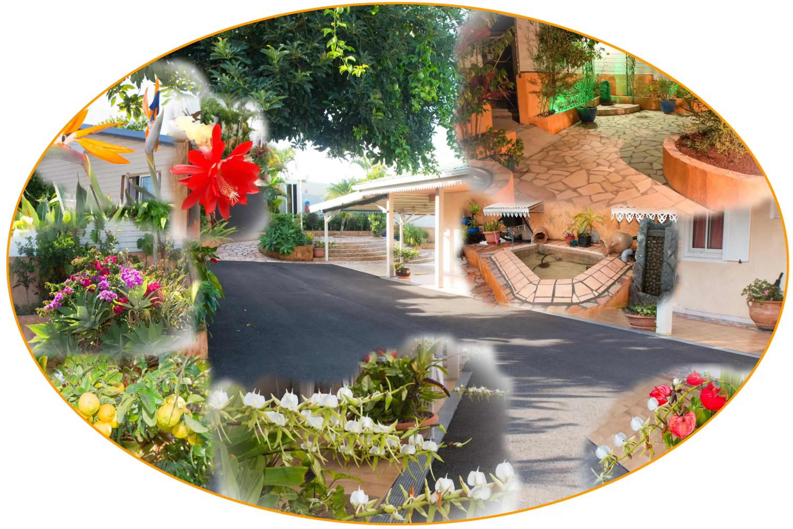 Patio in La Résidence des Caféiers - Le Tampon