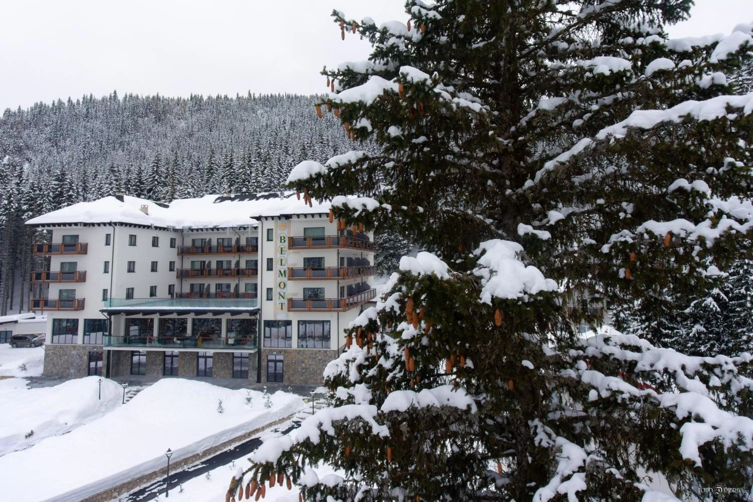 Property building in Hotel Belmont & Spa