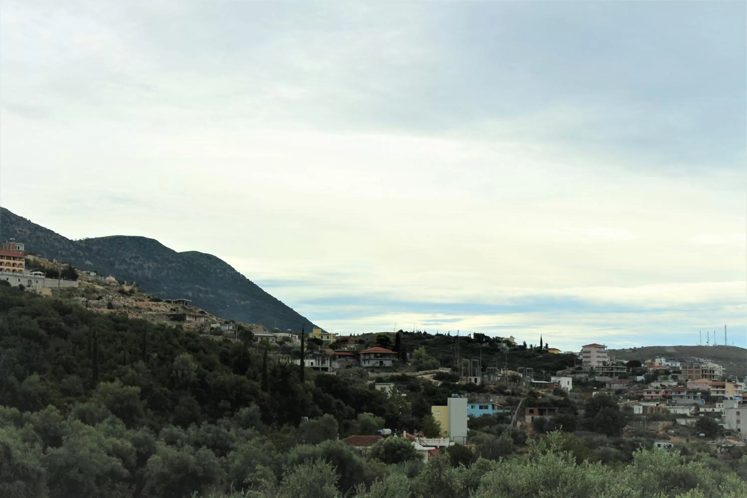 Neighbourhood in Hotel Frida