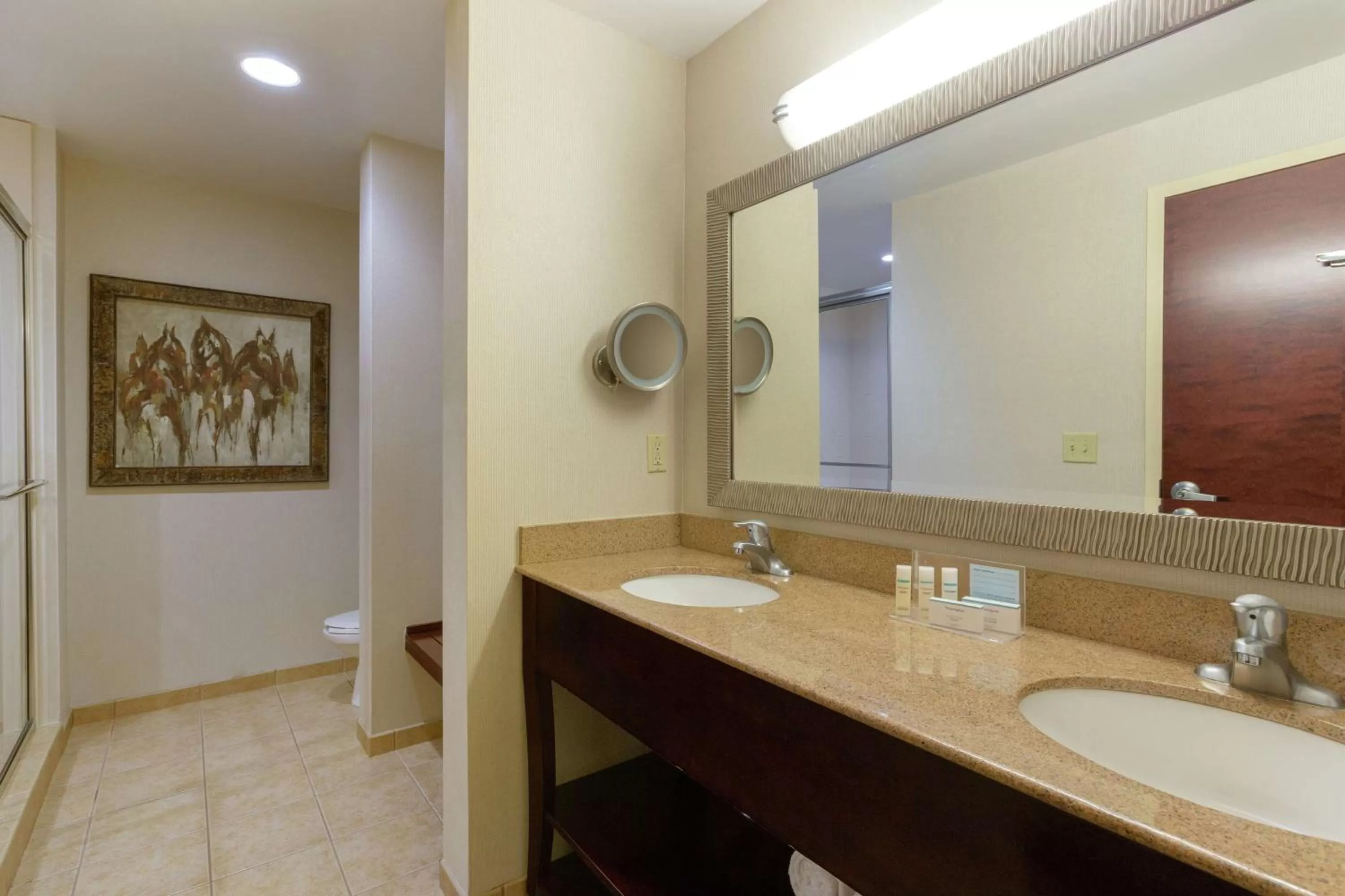 Bathroom in Hampton Inn & Suites Wellington