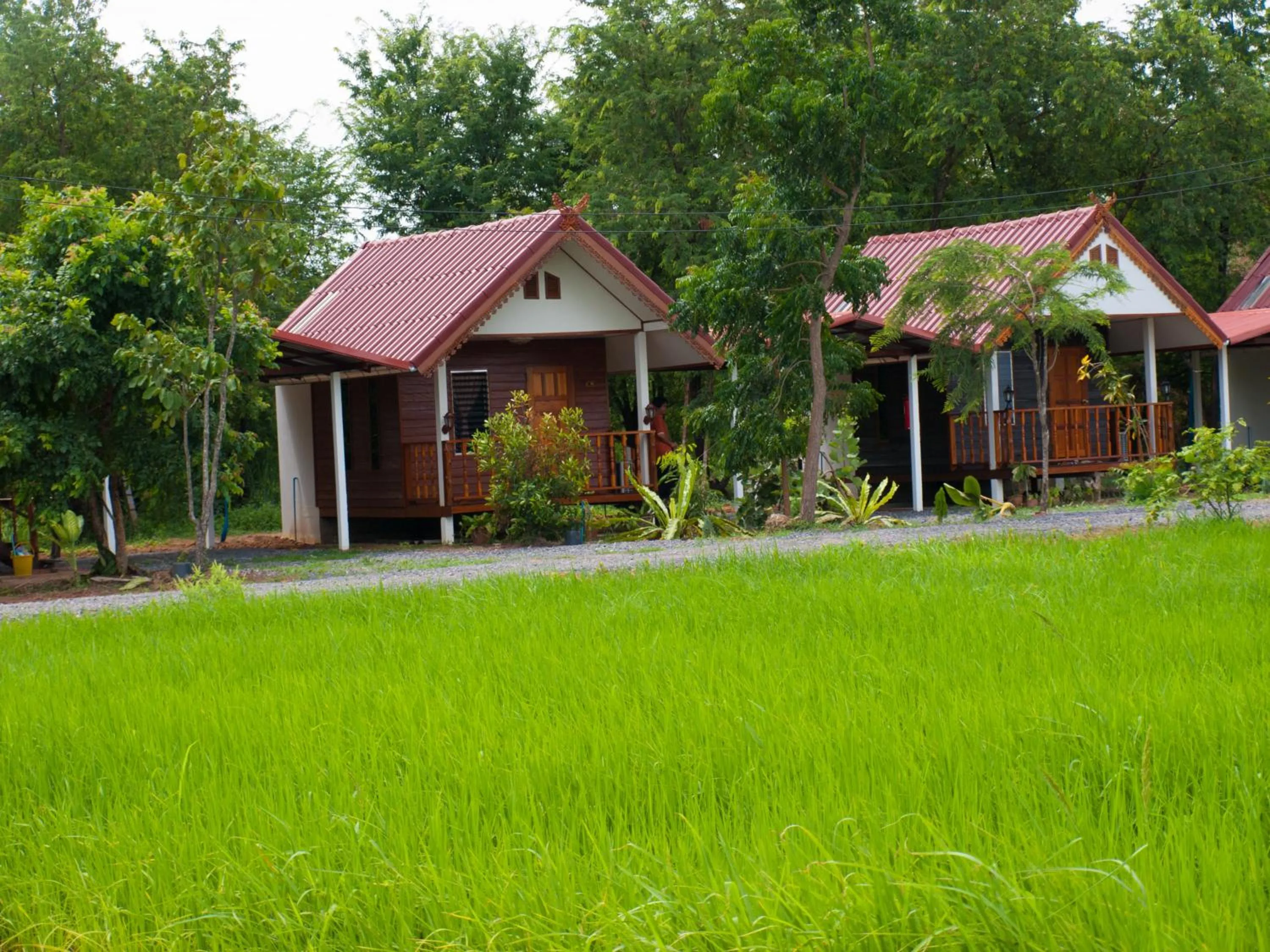 Jamsai Resort