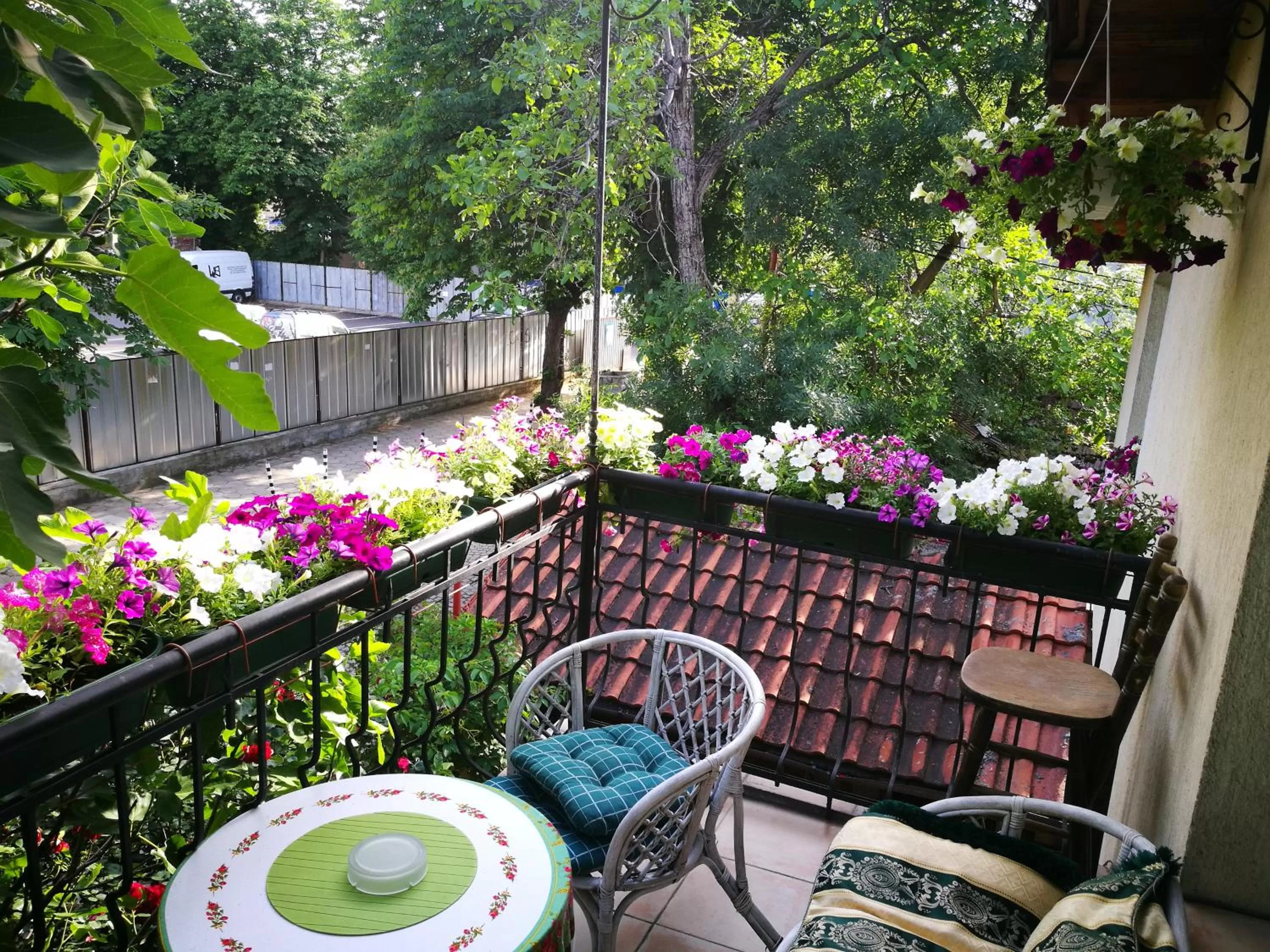 Balcony/Terrace in Hotel Paradise