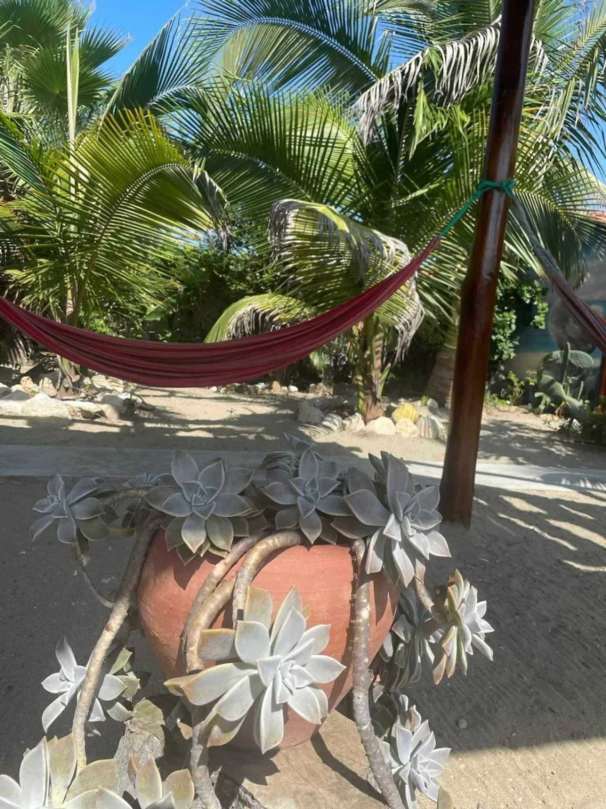 Garden in Un Dia Boutique Resort