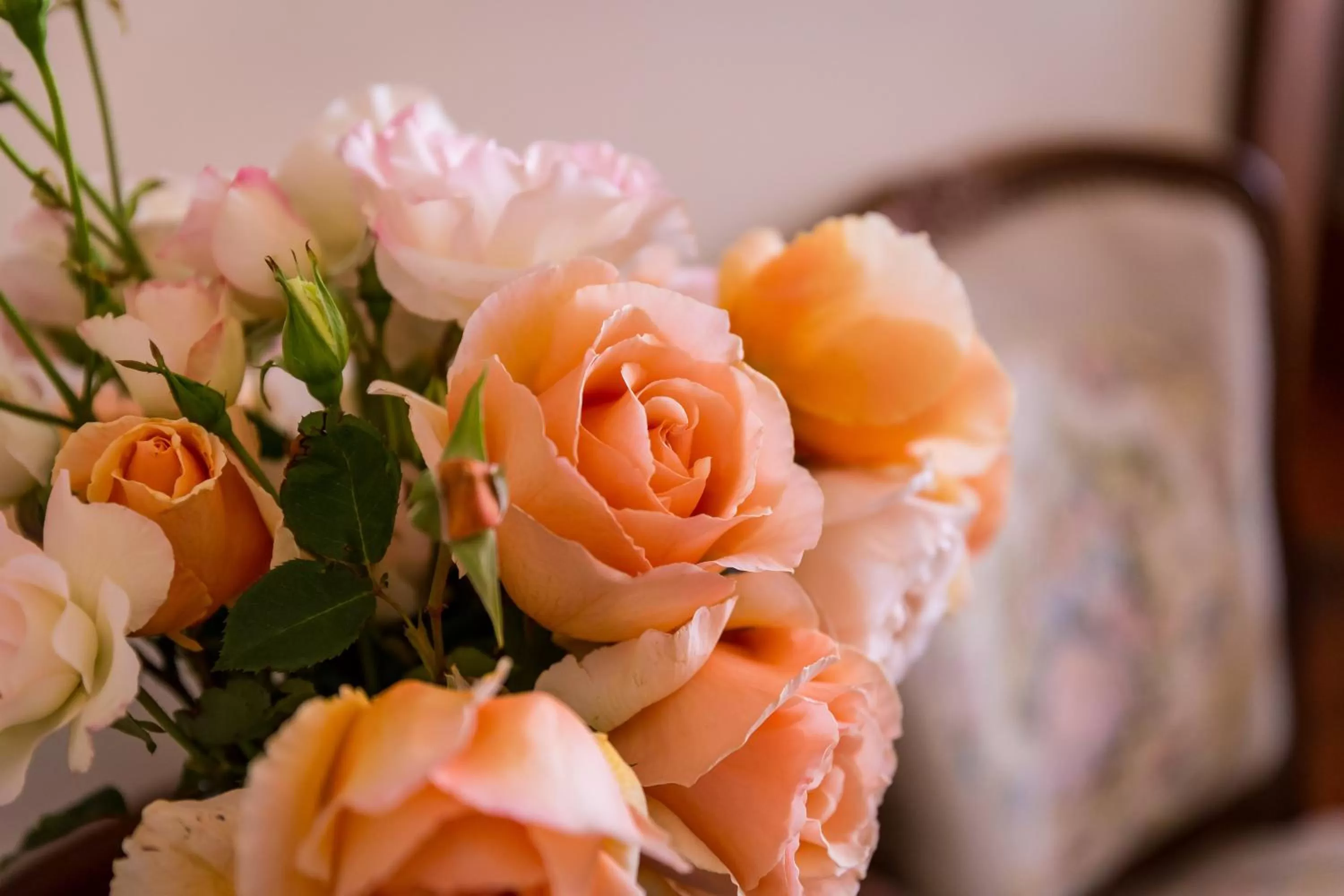 On site in Barossa House