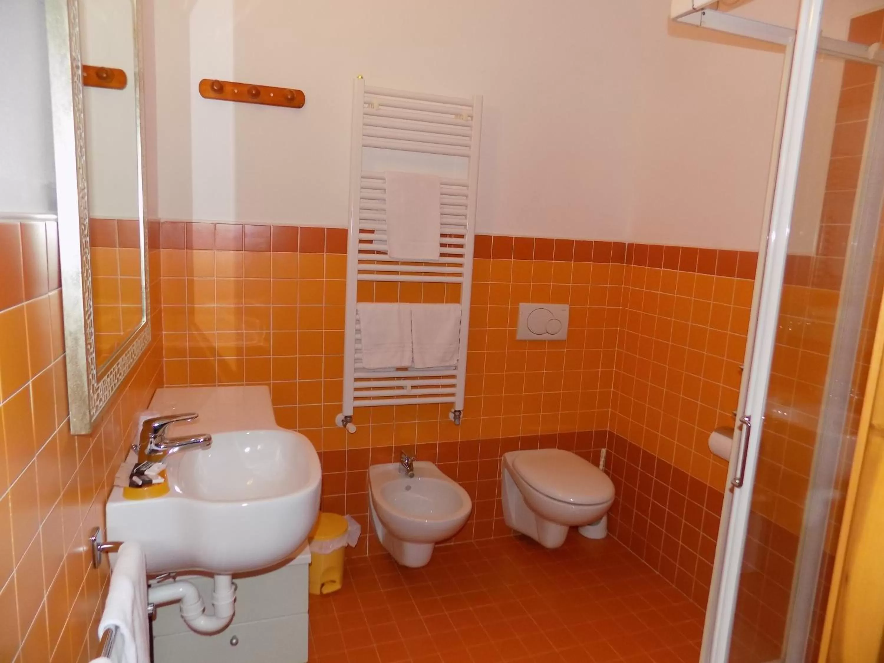 Shower in Hotel Residence Sole