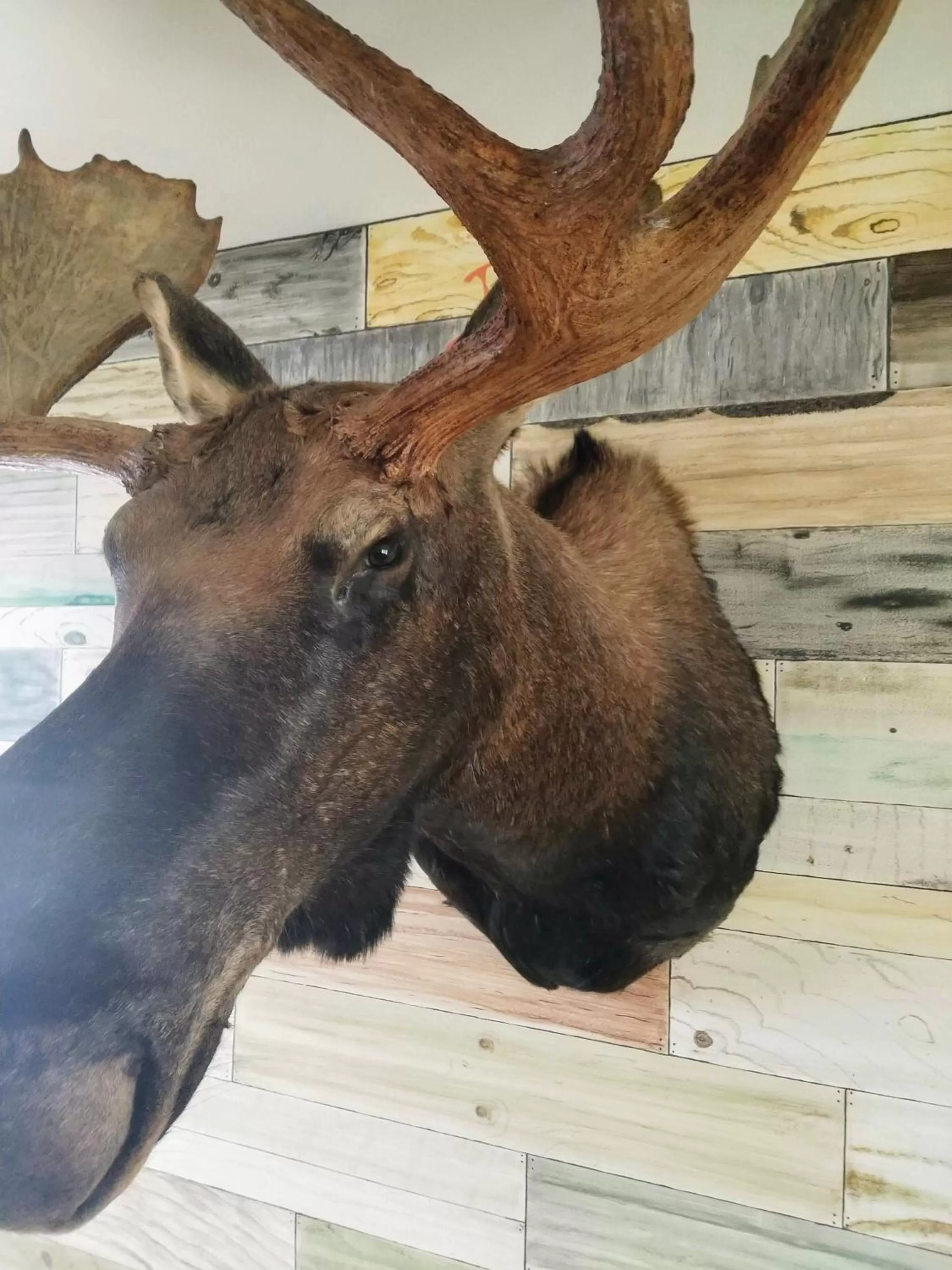 Communal lounge/ TV room in The Turnip Bed and Breakfast