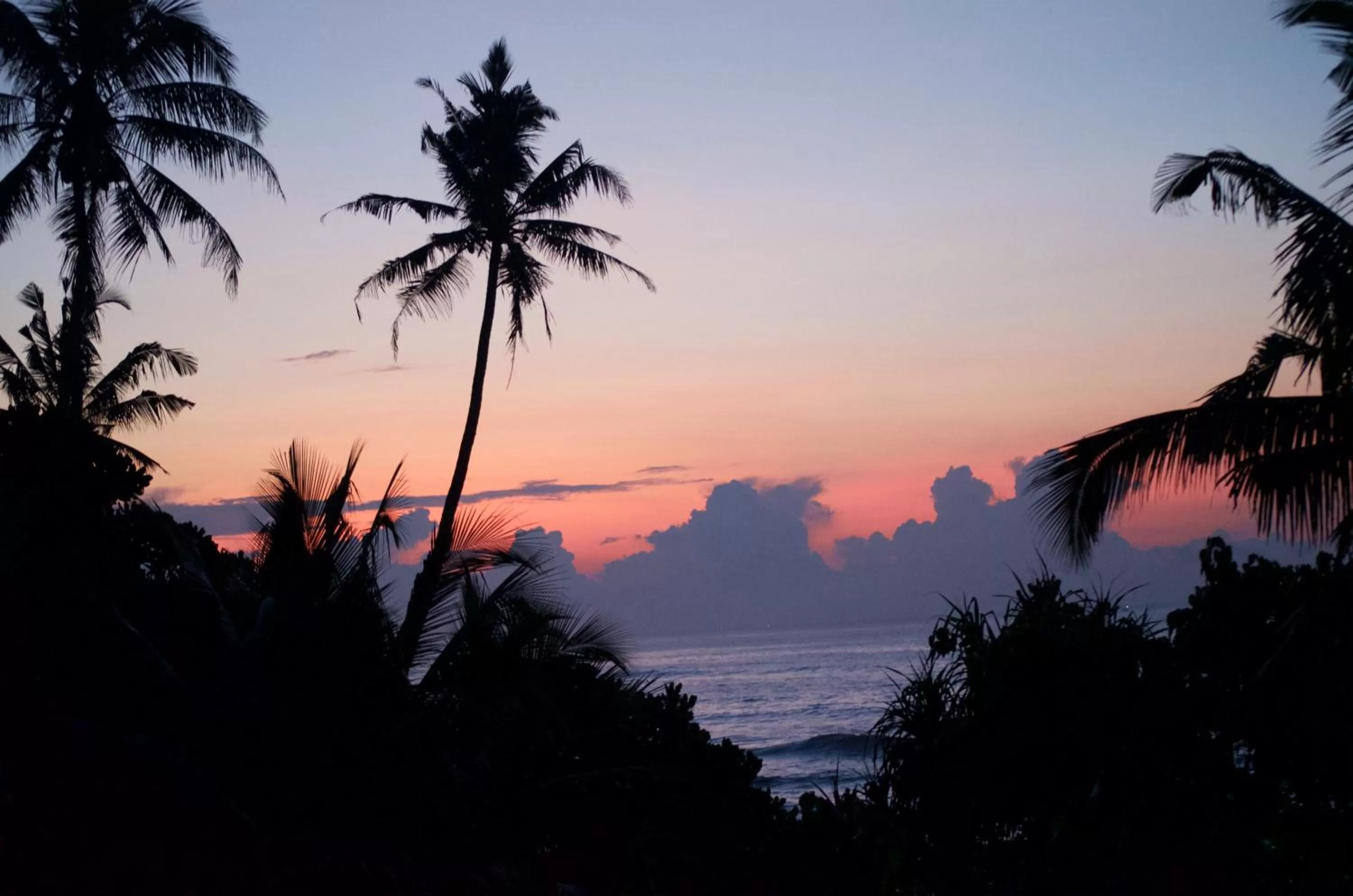 Sea view, Sunrise/Sunset in New Ocean Vibes