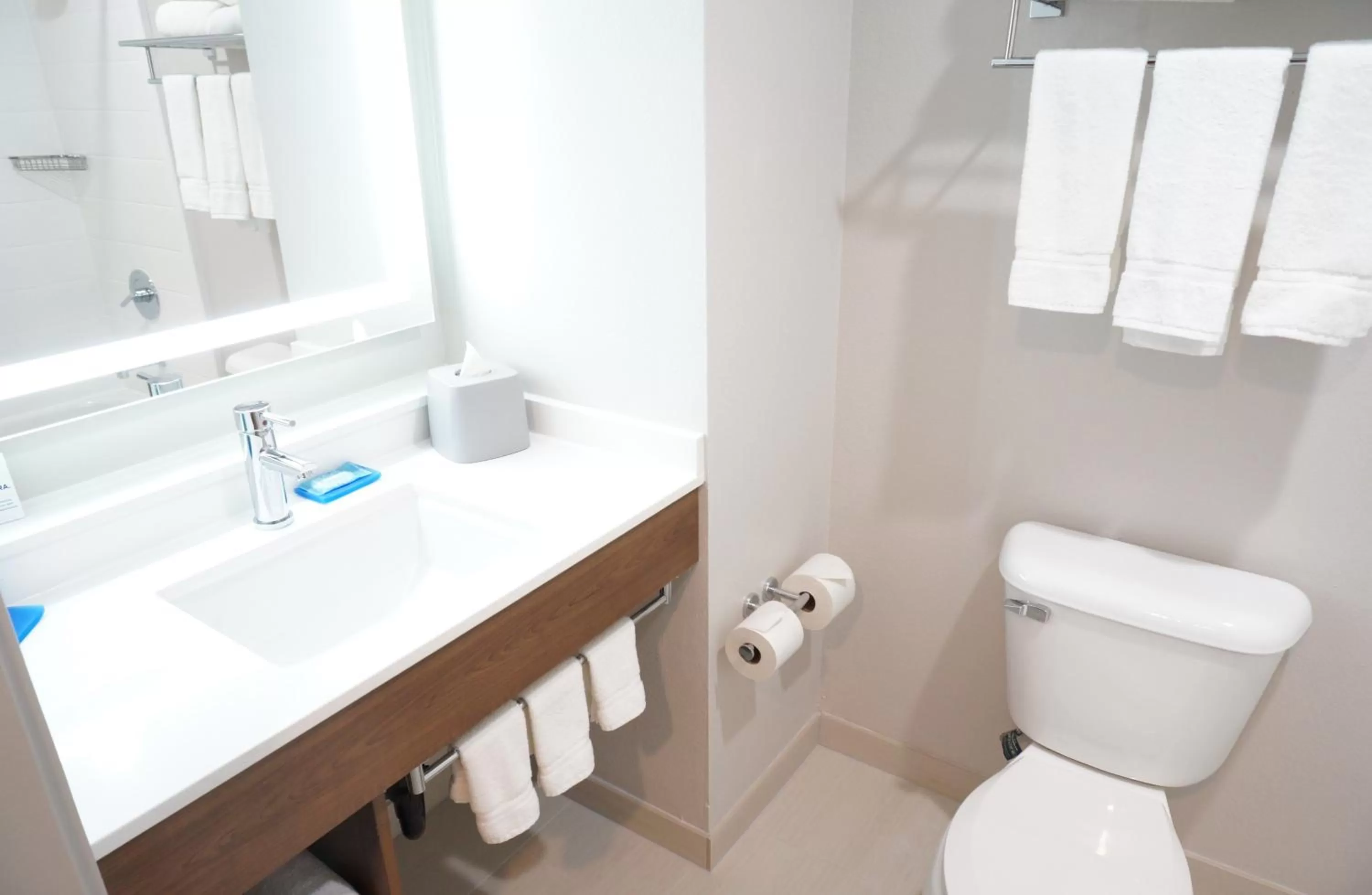 Bedroom in Holiday Inn Express Fremont - Milpitas Central by IHG