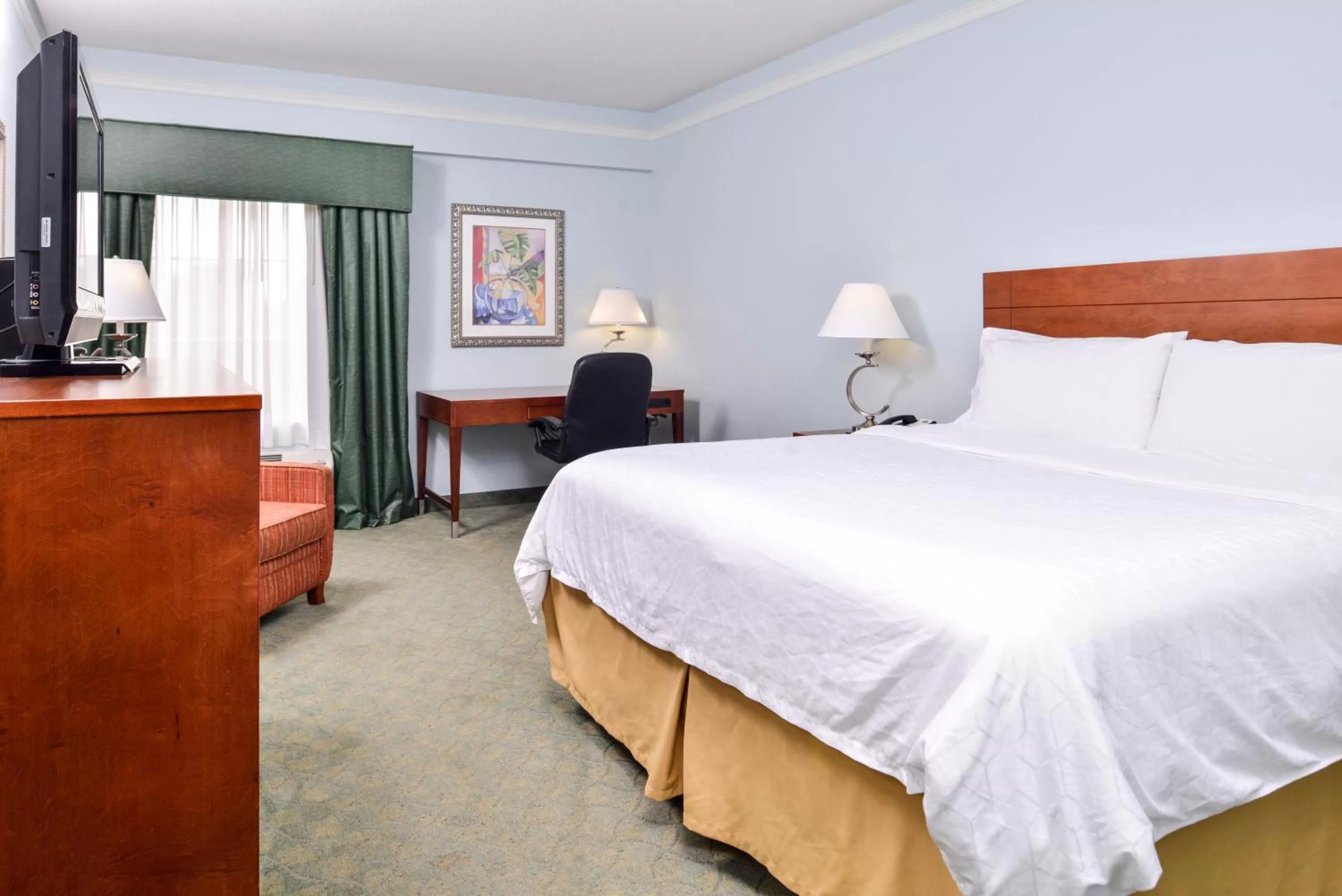 Photo of the whole room, Bed in Holiday Inn Express Tampa North Telecom Park by IHG