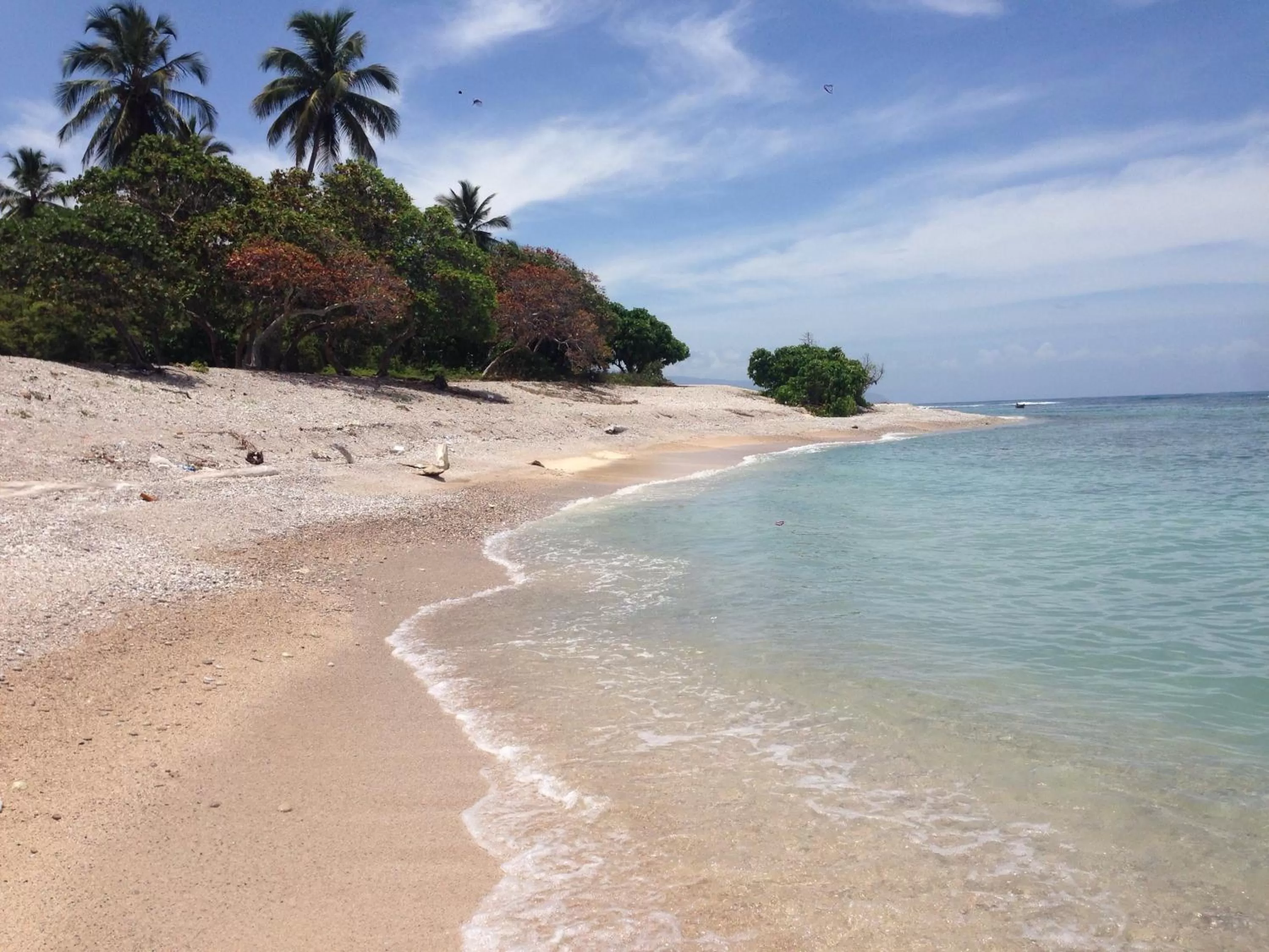 Natural landscape, Beach in Hotel Al Mare