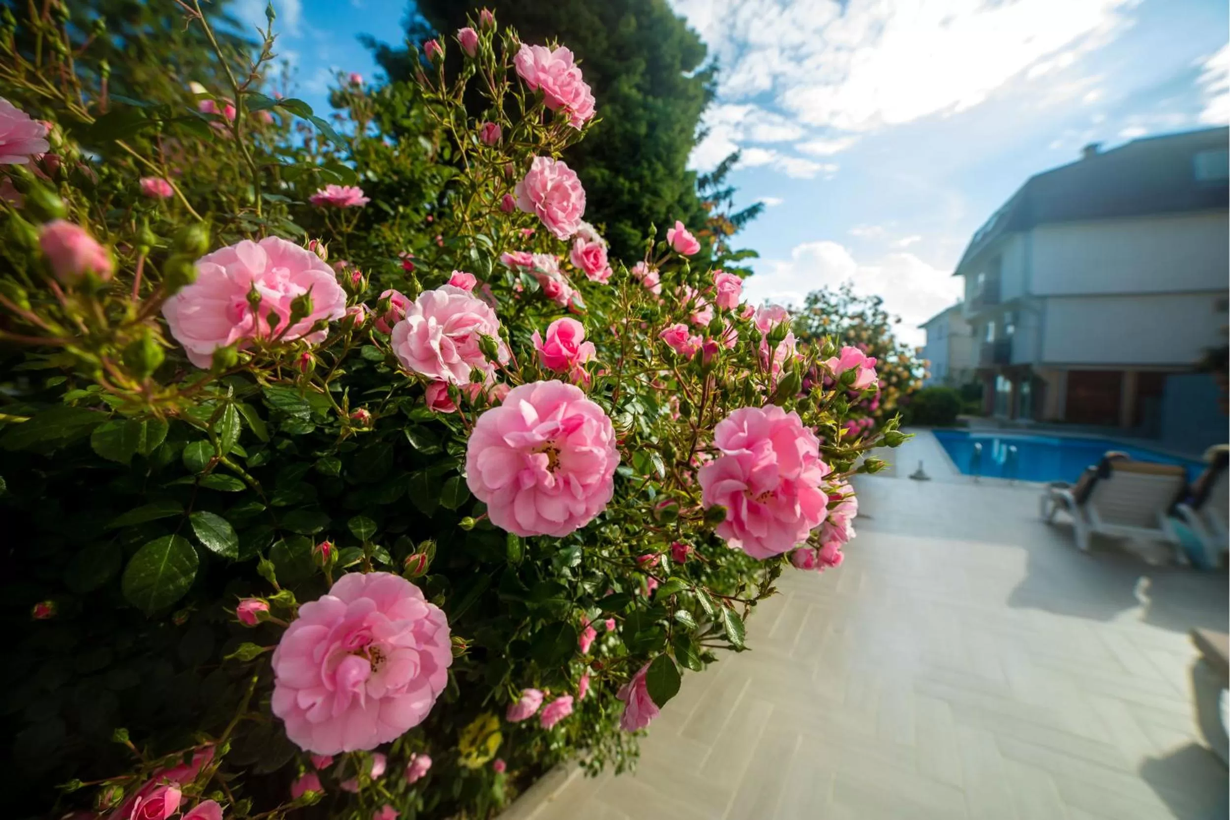 Activities in Villa Jordan