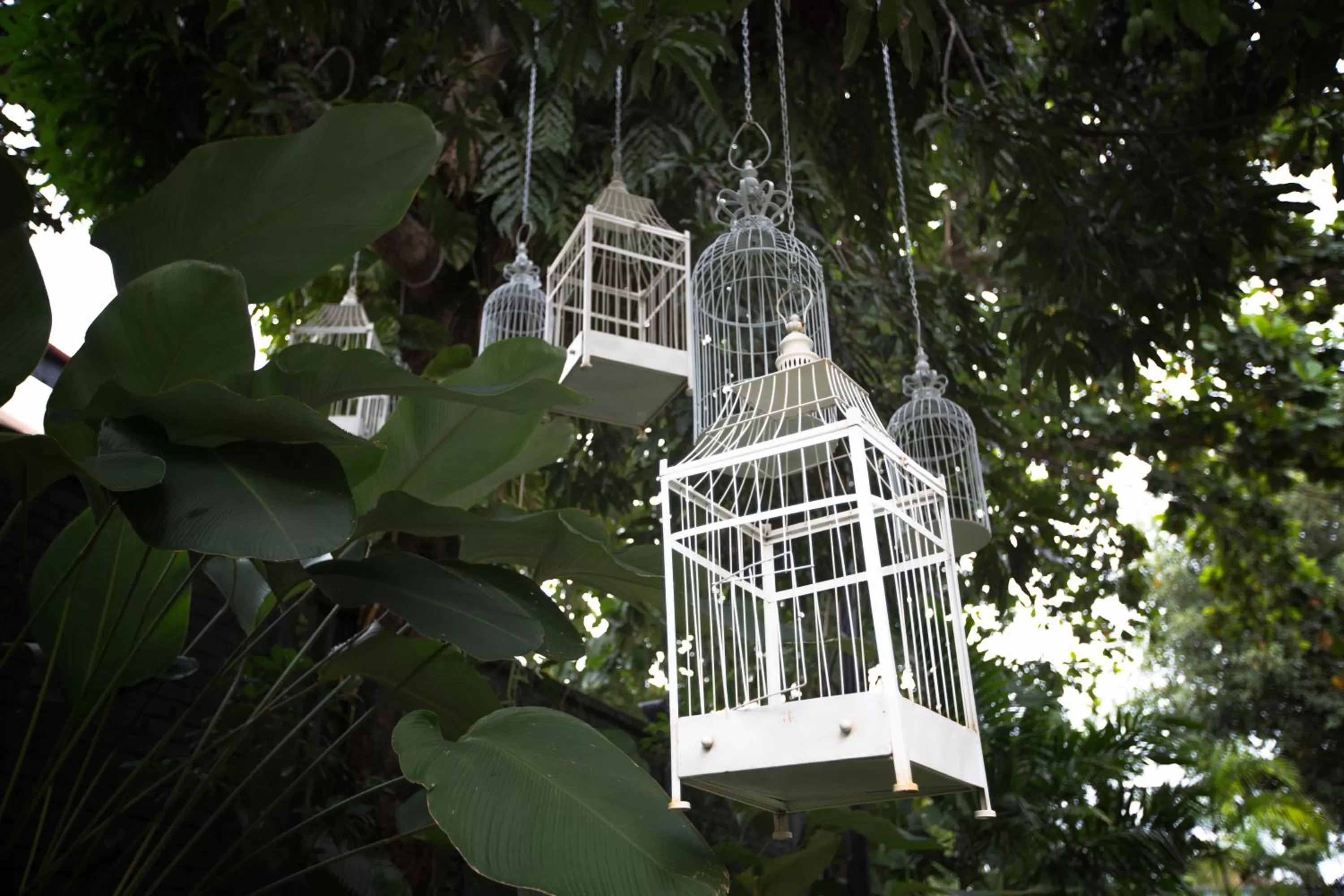 Decorative detail in Muntri Grove