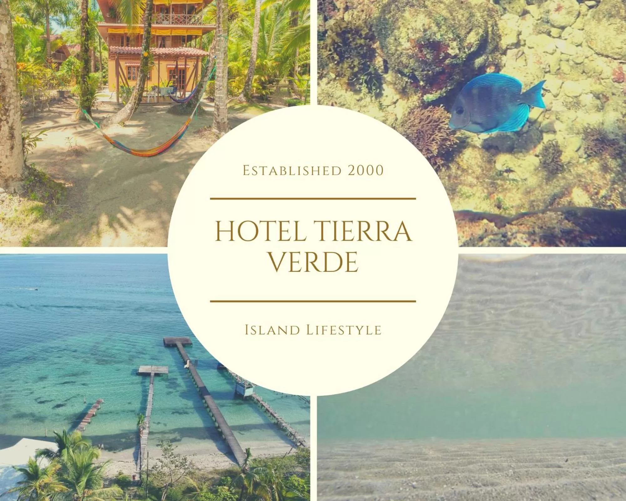 Tierra Verde Bed & Breakfast