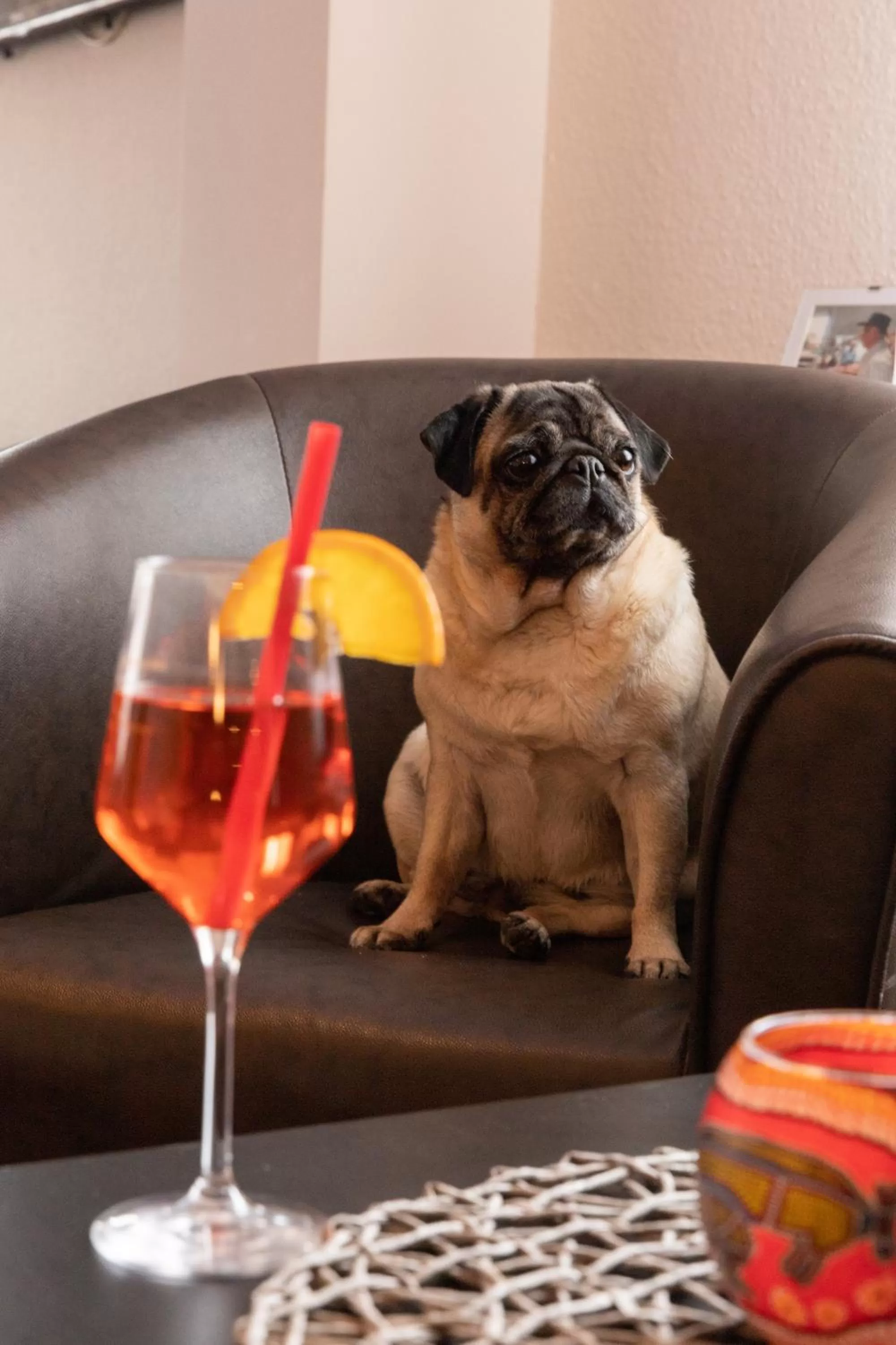 Food and drinks, Pets in Hotel zur Post Ochsendorf