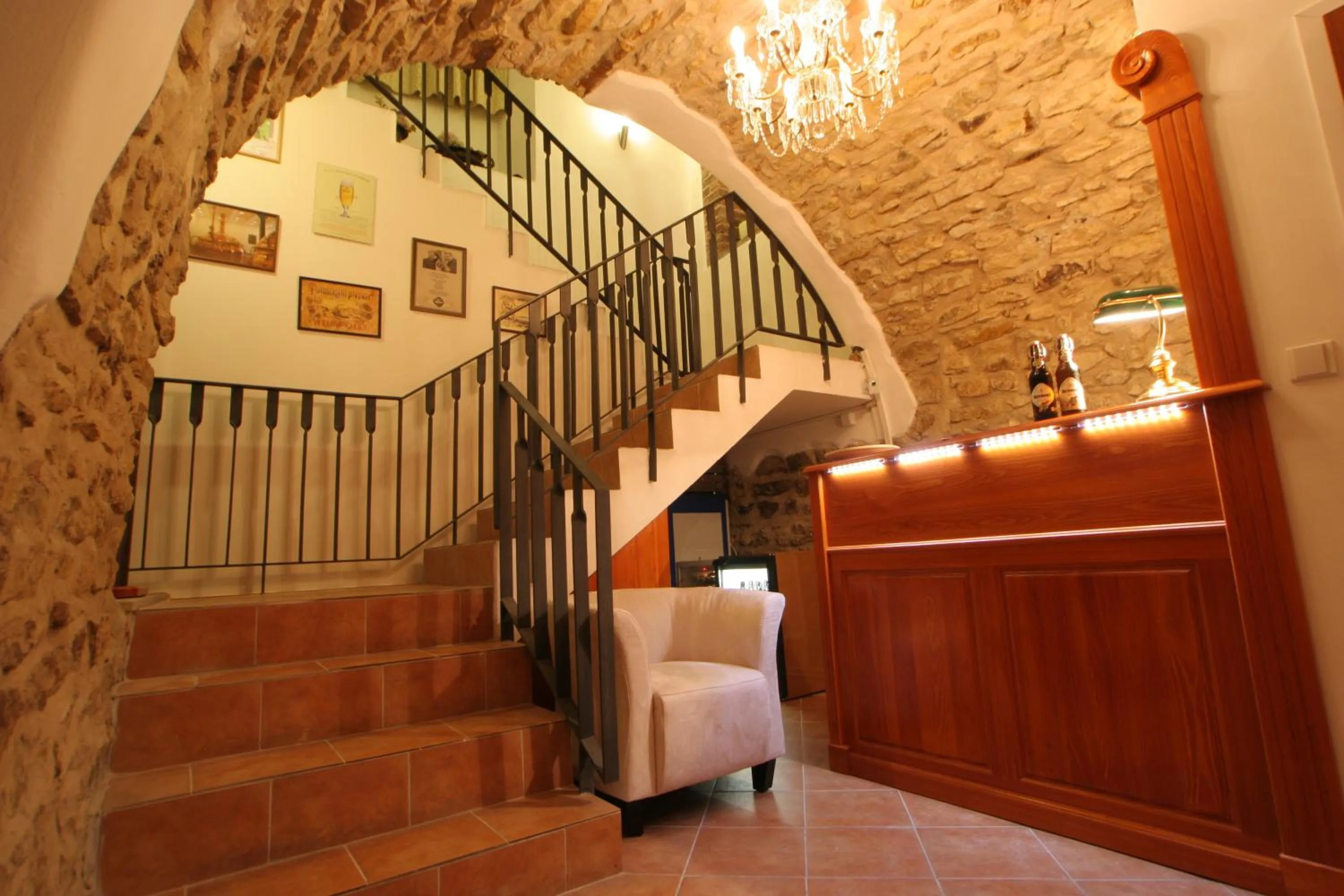 Animals in Hotel Metamorphis