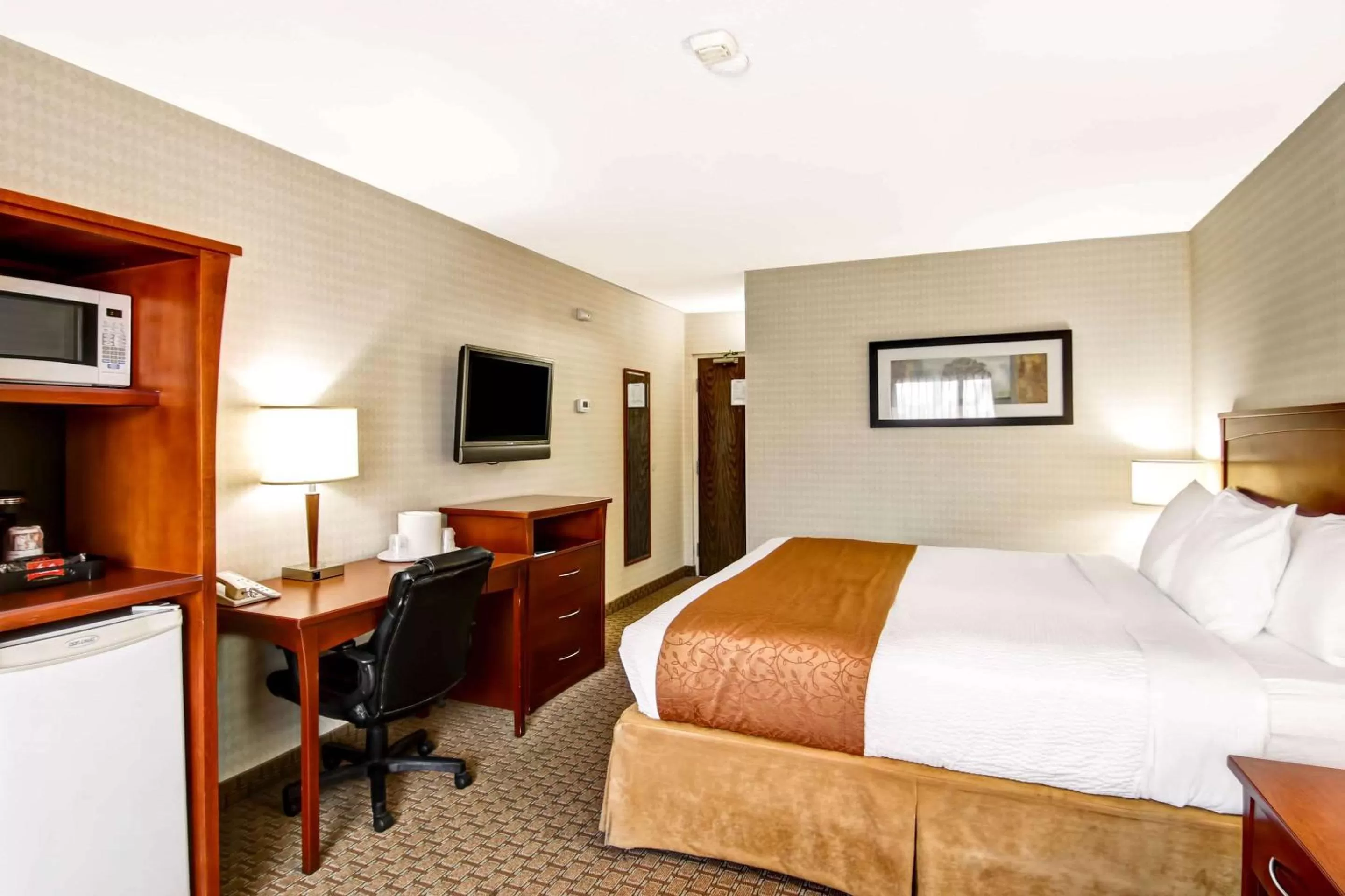 Photo of the whole room, Bed in Quality Inn