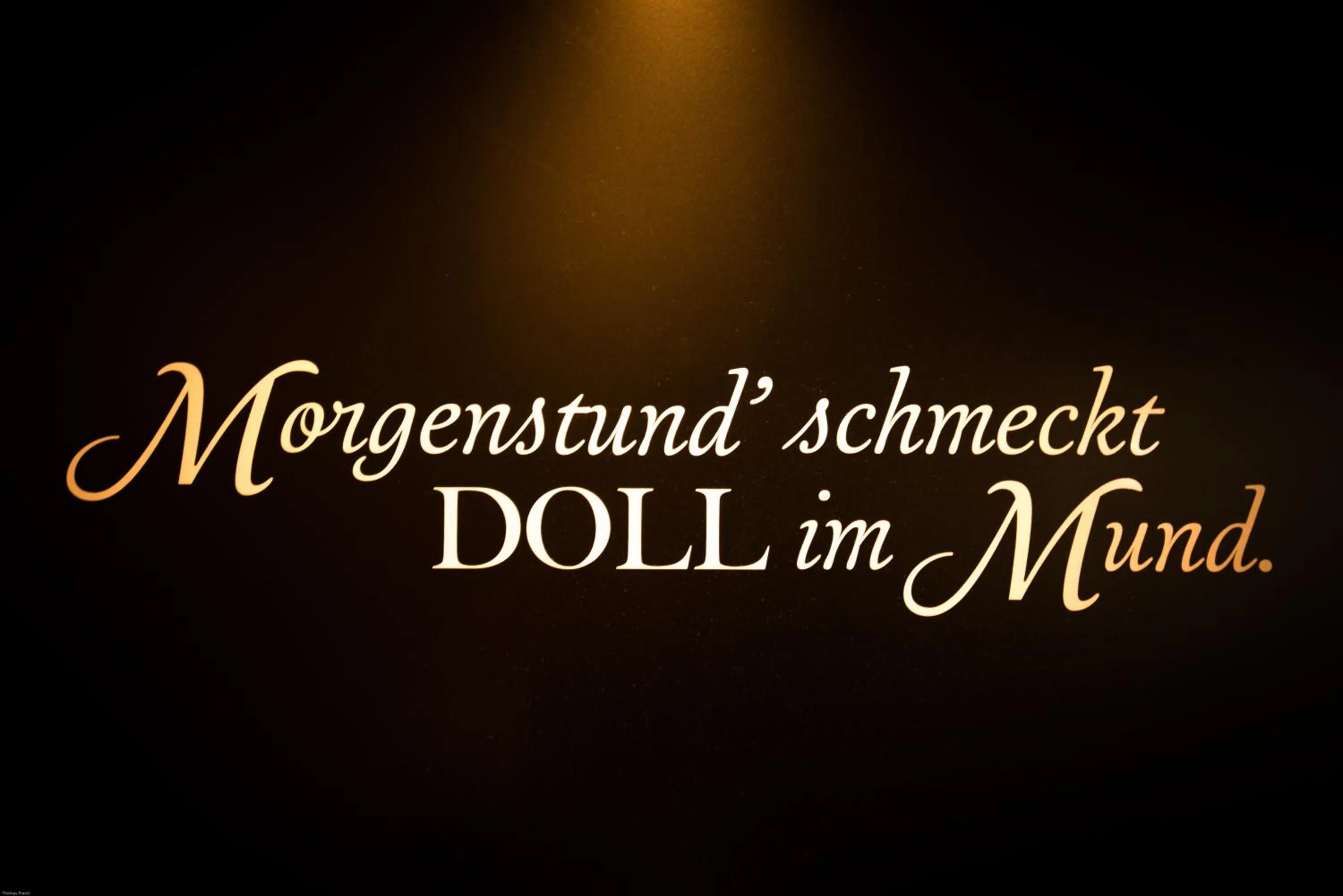 Text overlay in Dollinger