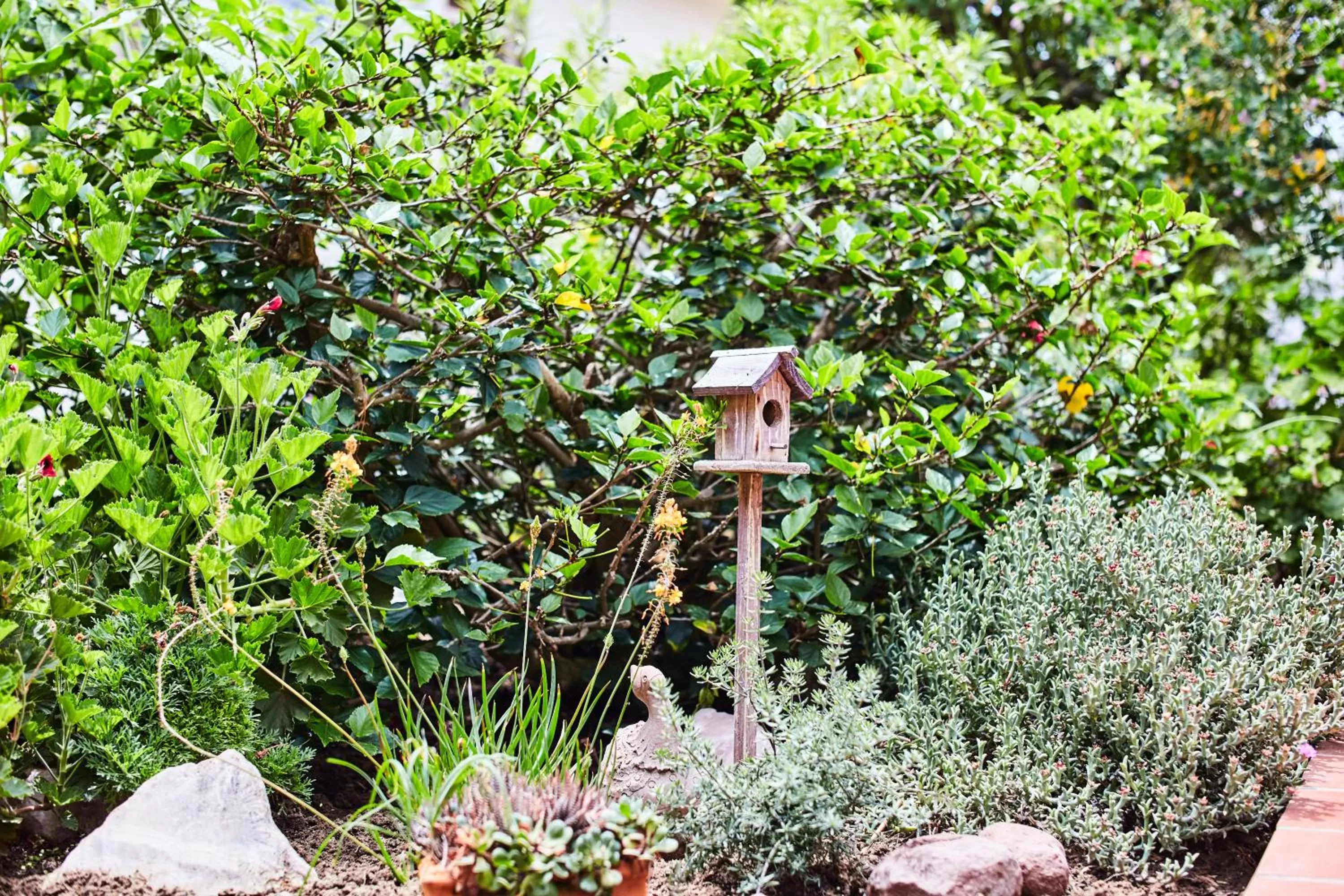 Garden in Meike's Guesthouse