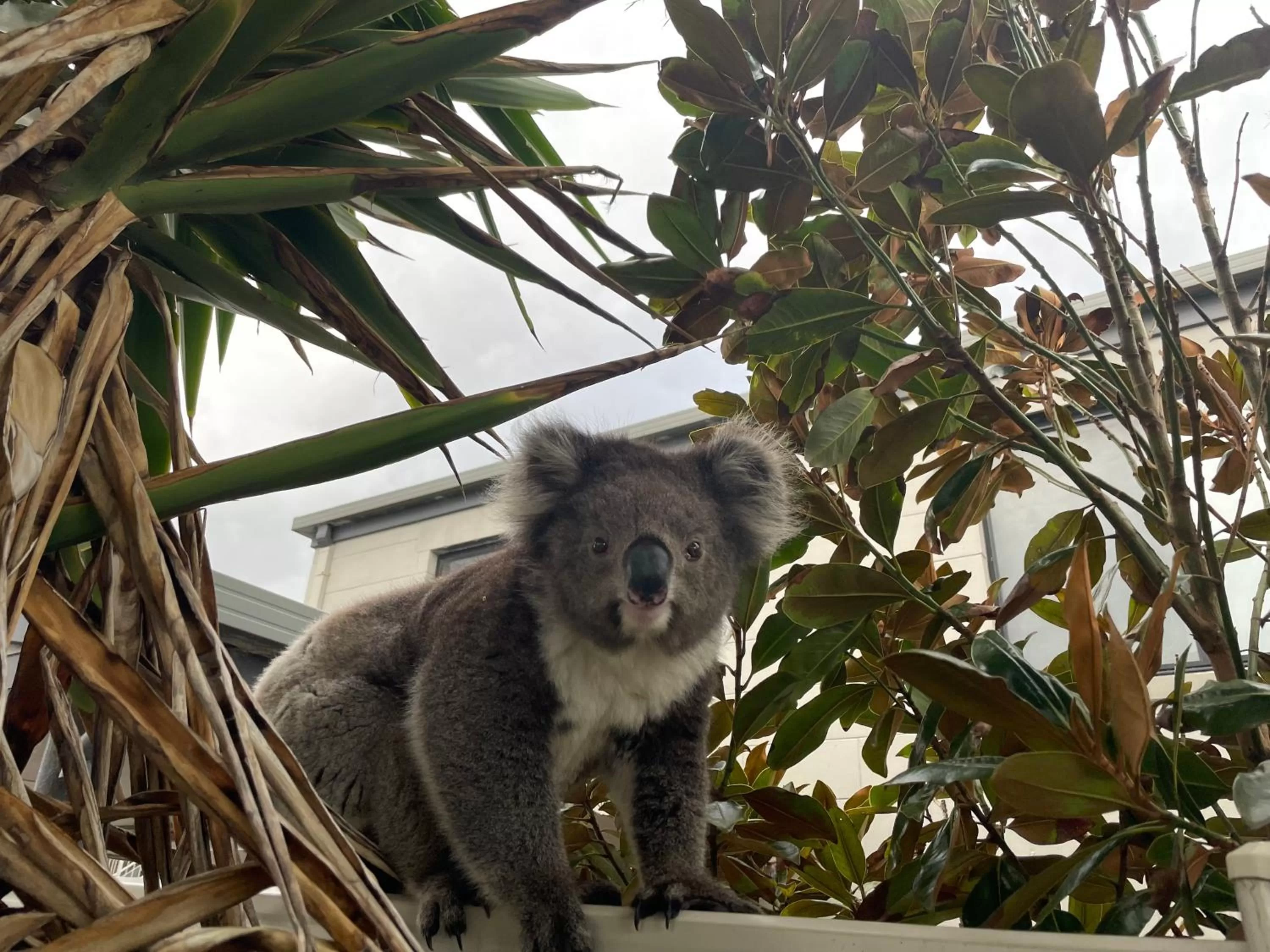 On site in Coastal Motel