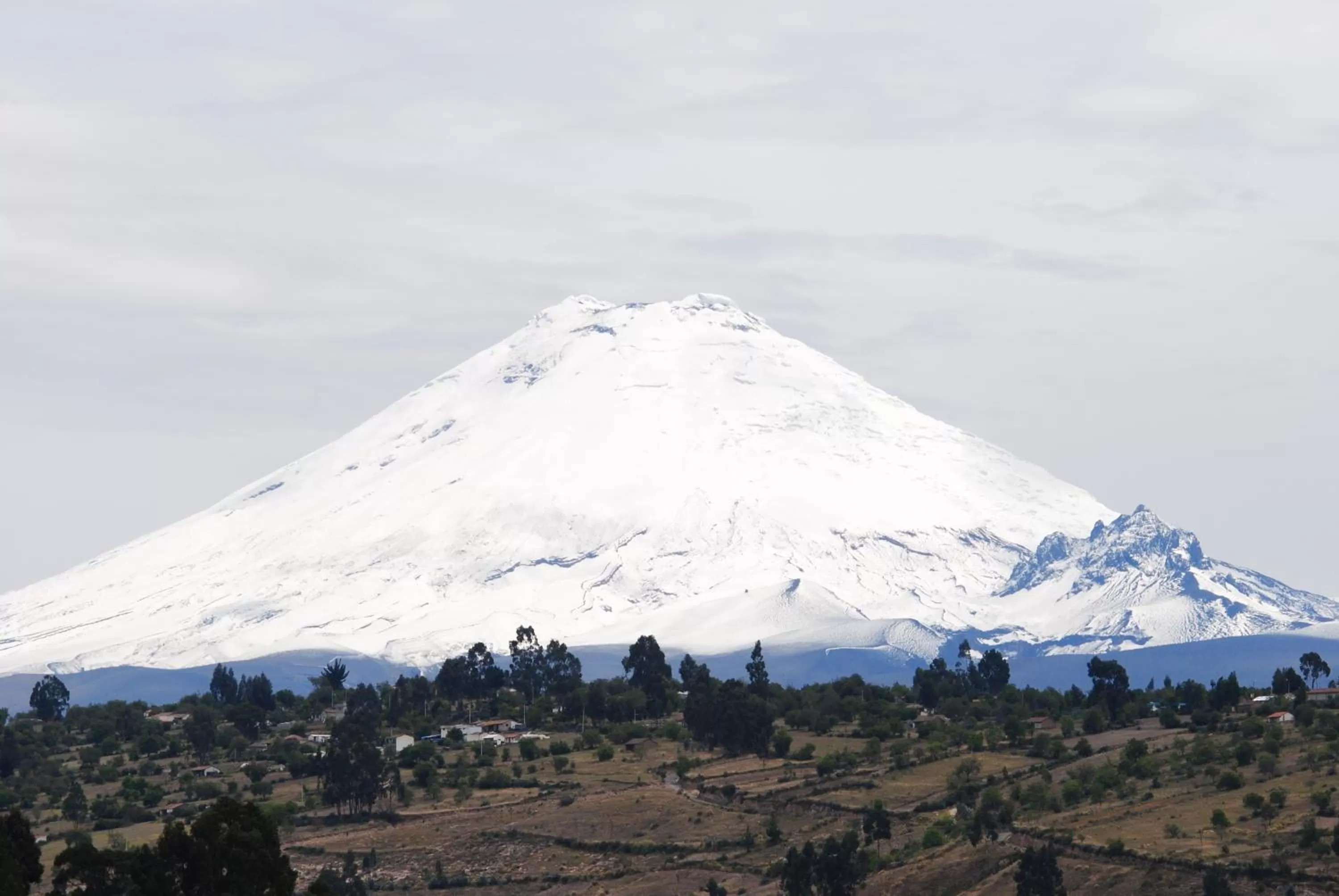 Entertainment in Hotel Endamo