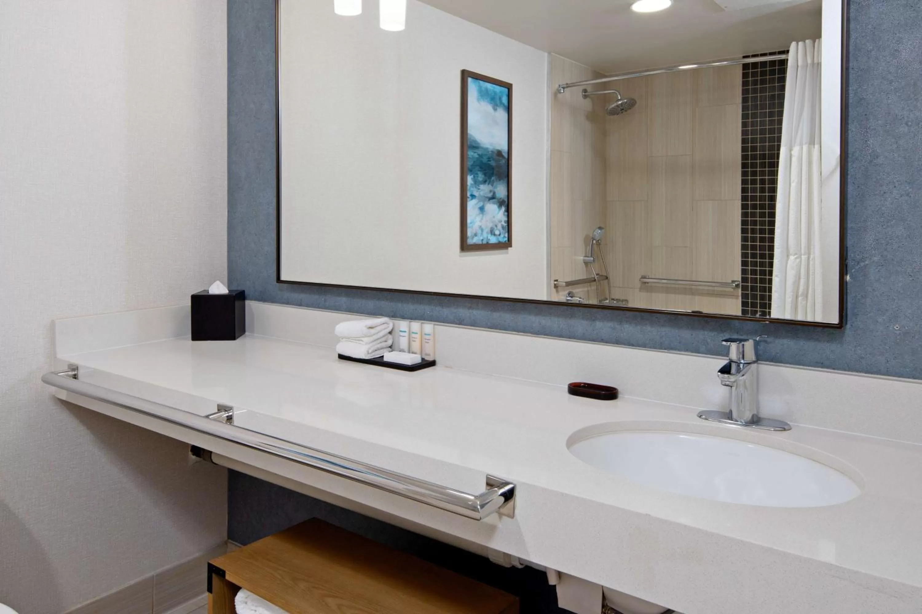 Bathroom in Embassy Suites by Hilton Monterey Bay Seaside