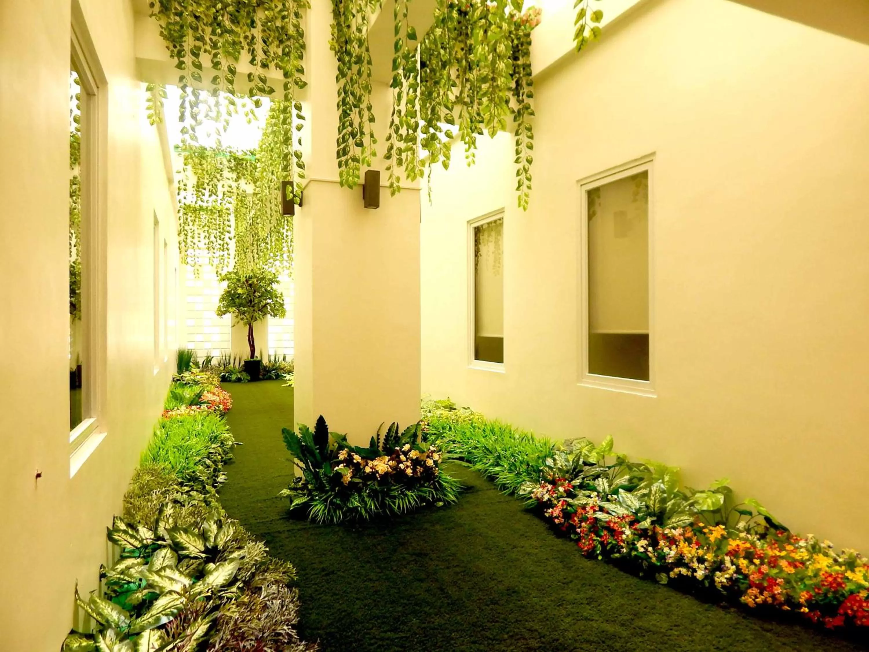 Garden in MaxOne Signature Glodok Jakarta