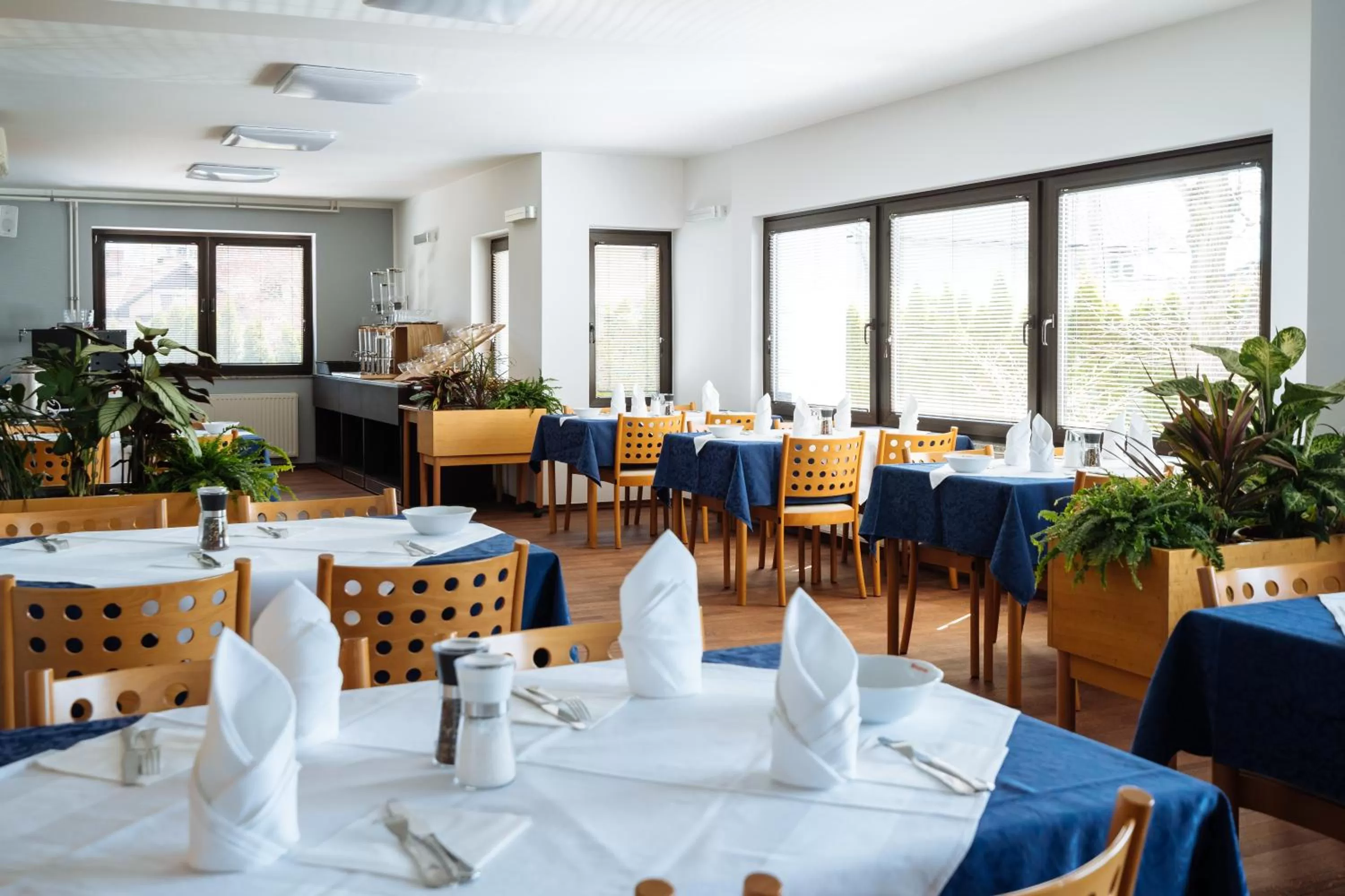 Food and drinks, Restaurant/Places to Eat in Hotel GH Kolinska