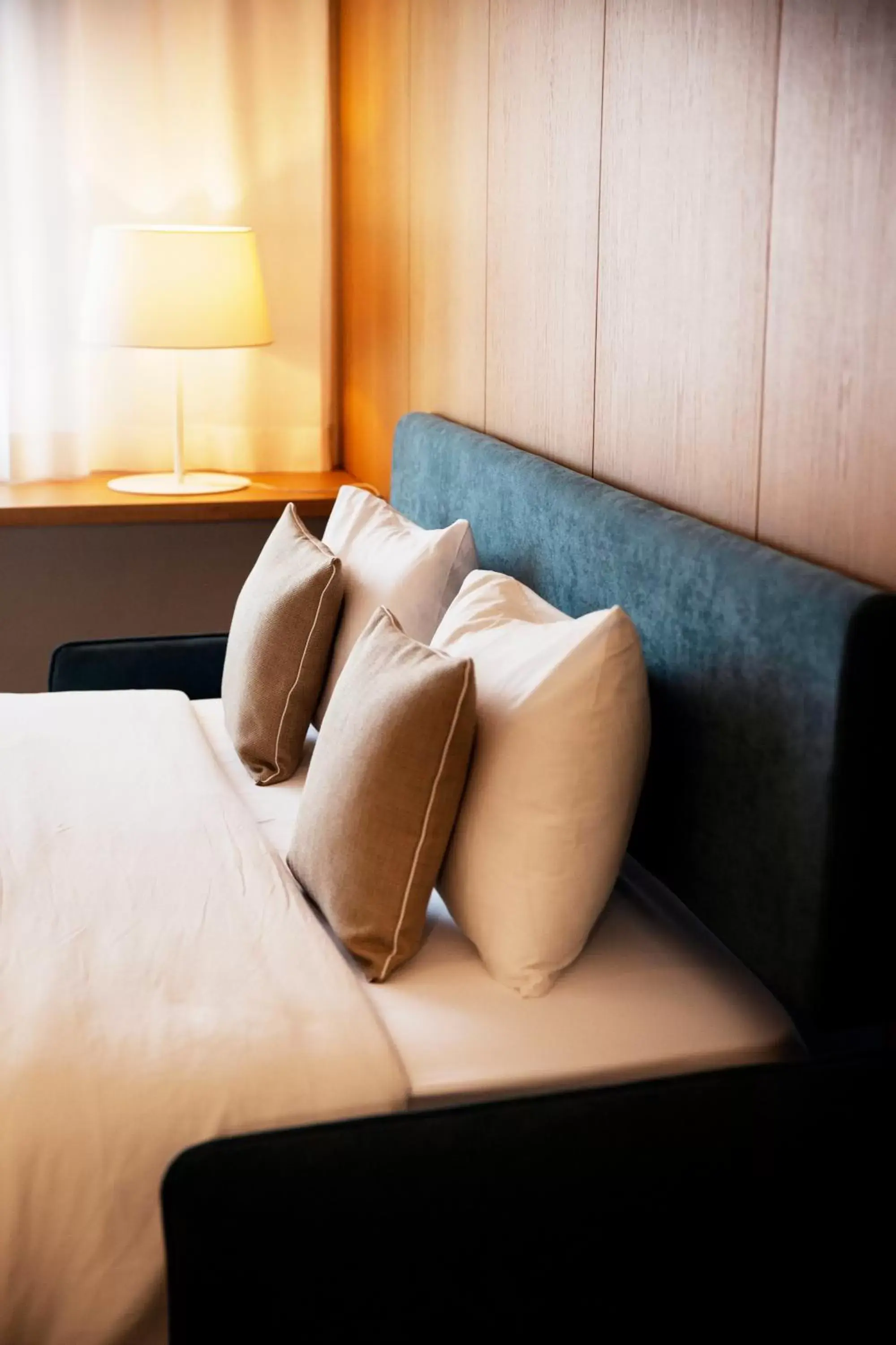 Standard Suite in Vigata Standard Suite in Vigata