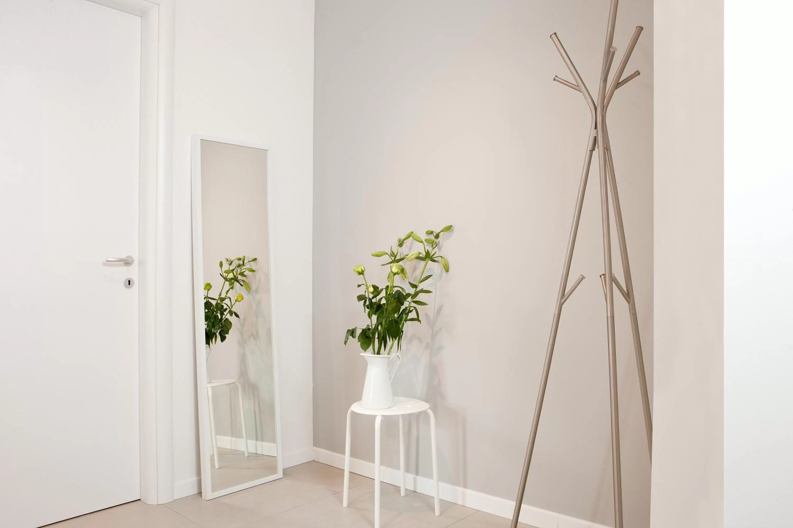 Location in Palazzo Talenti 1907