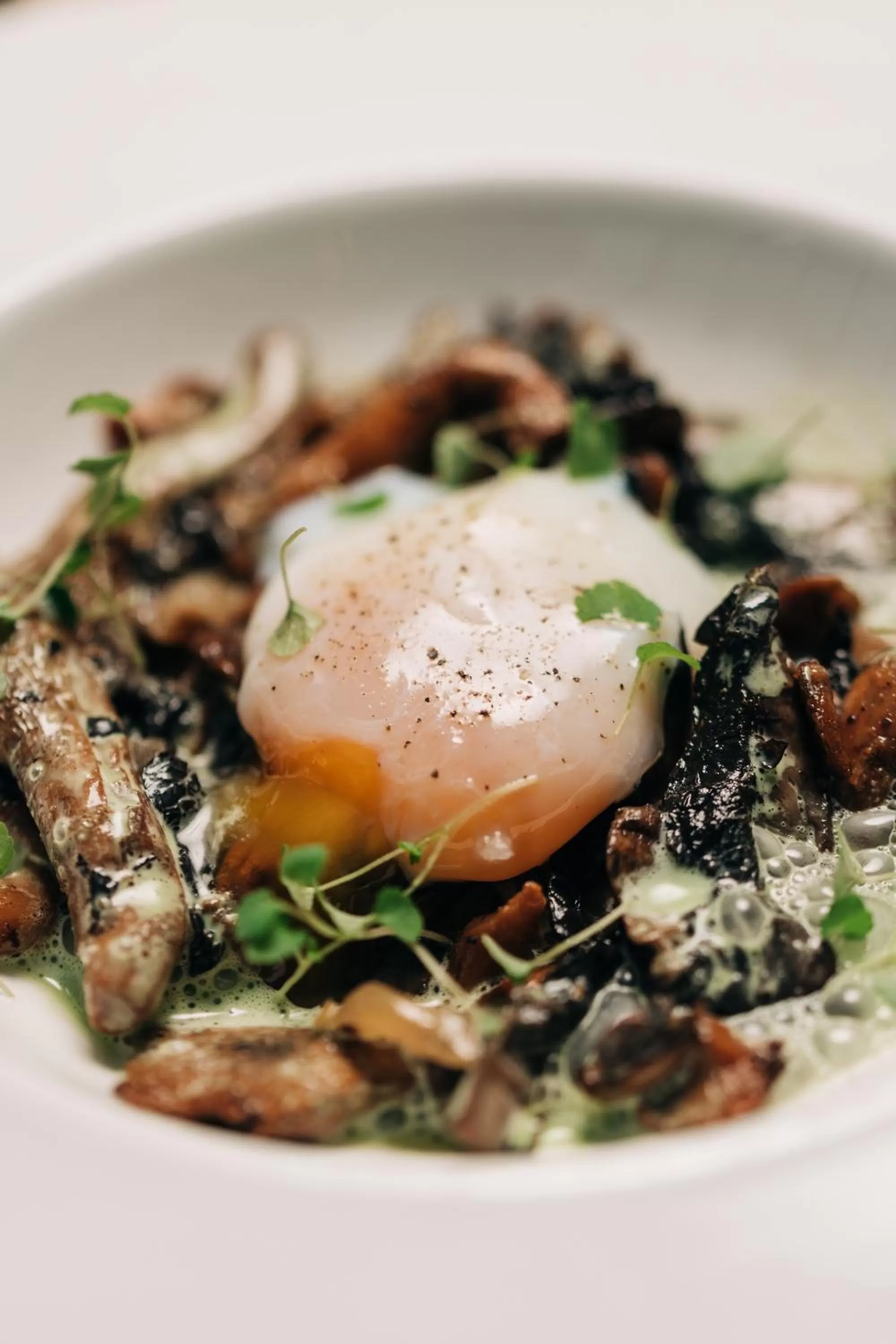 Restaurant/places to eat in Mercure Pont d’Avignon Centre